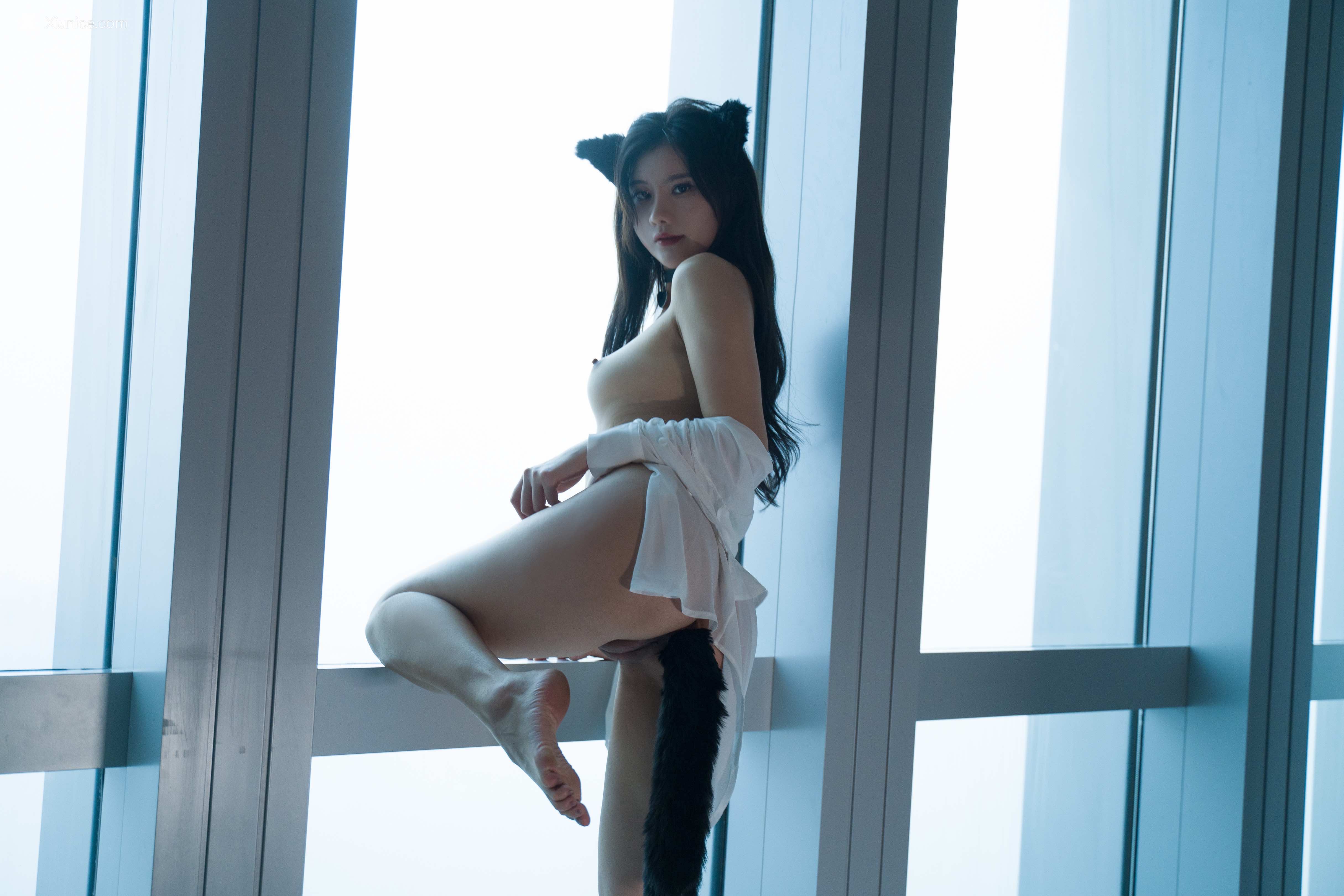 就是阿朱啊 猫 112