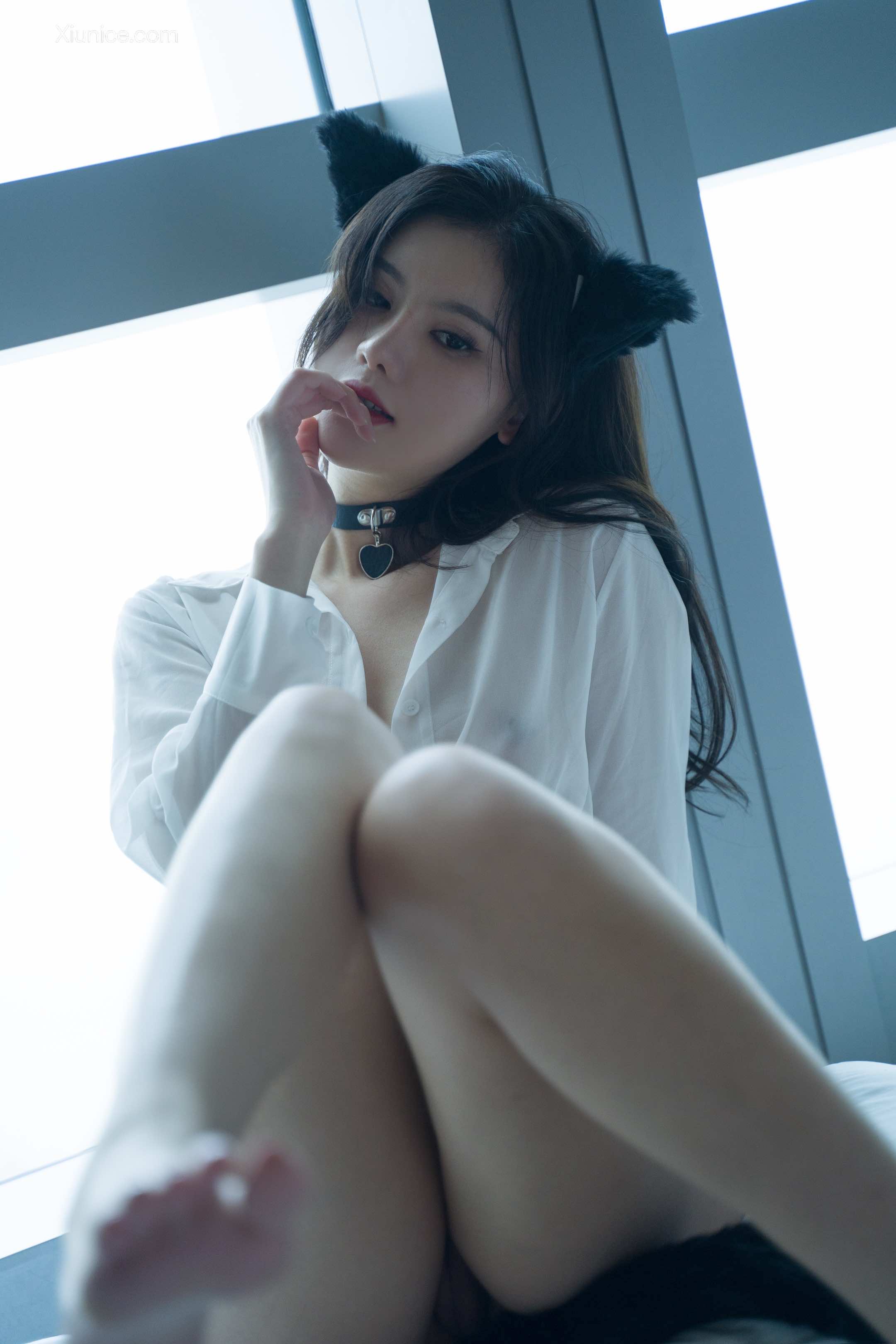 就是阿朱啊 猫 20
