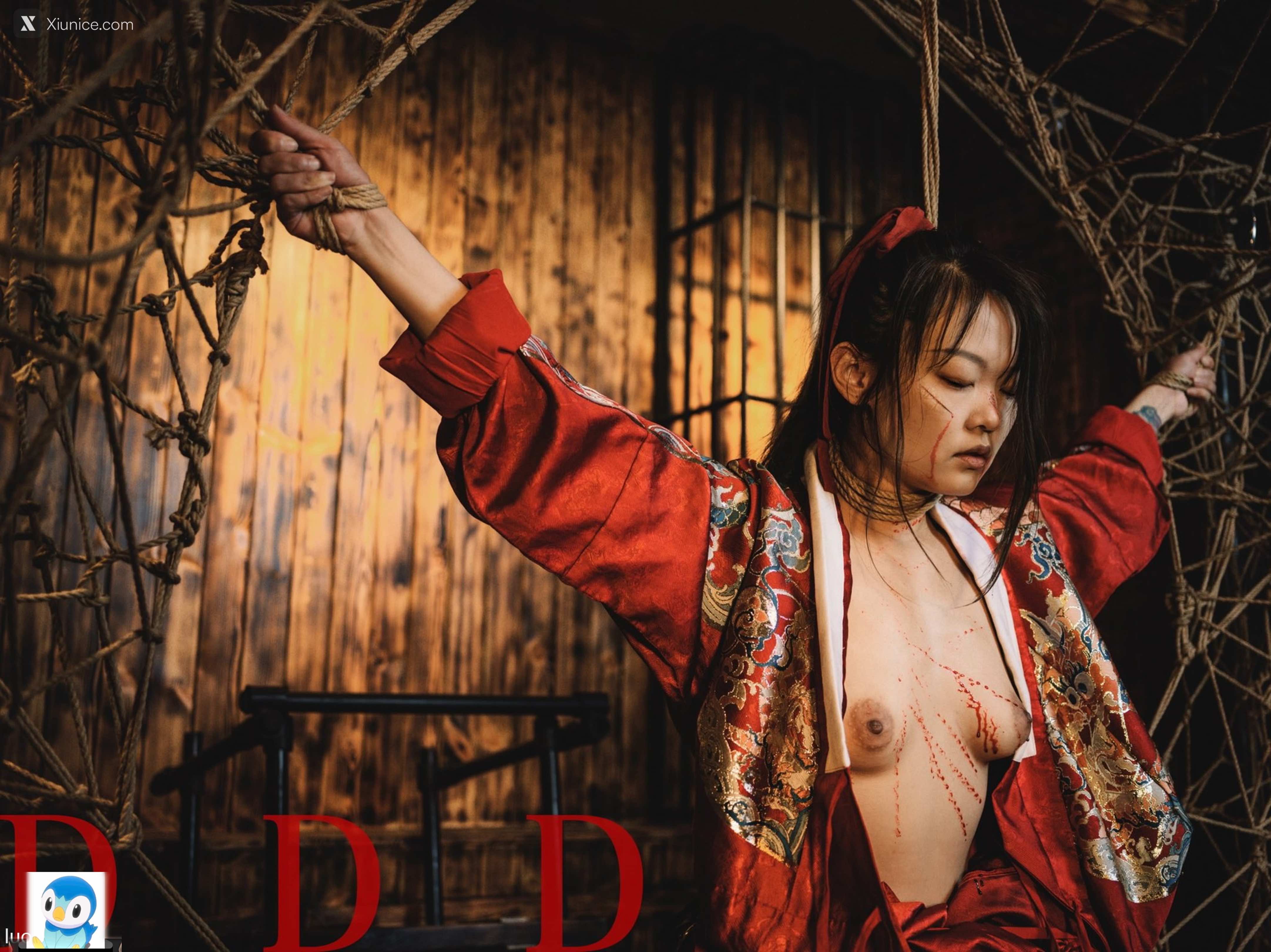 DDD 帝都摄影大师 女体艺术私拍合集 109
