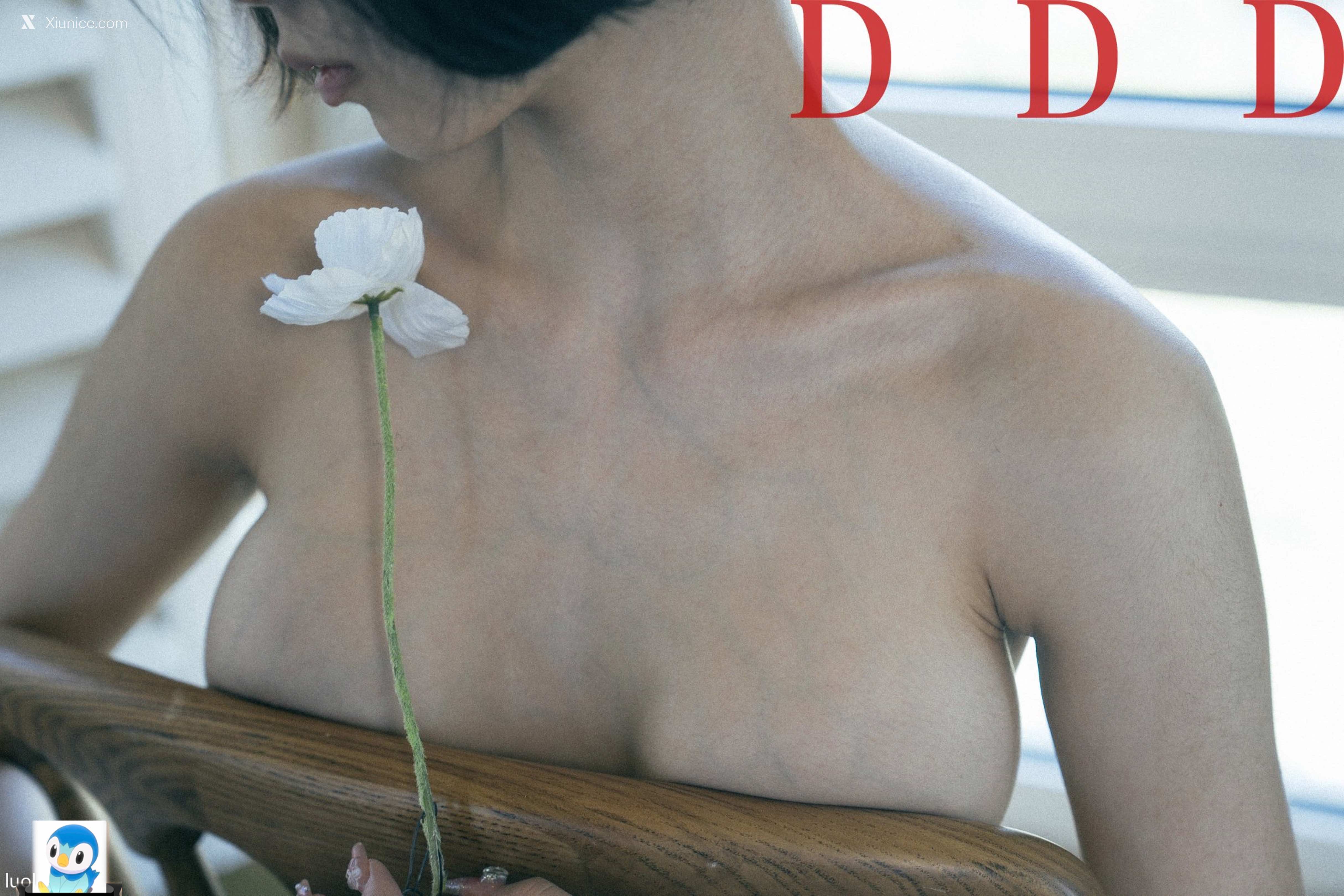 DDD 帝都摄影大师 女体艺术私拍合集 112