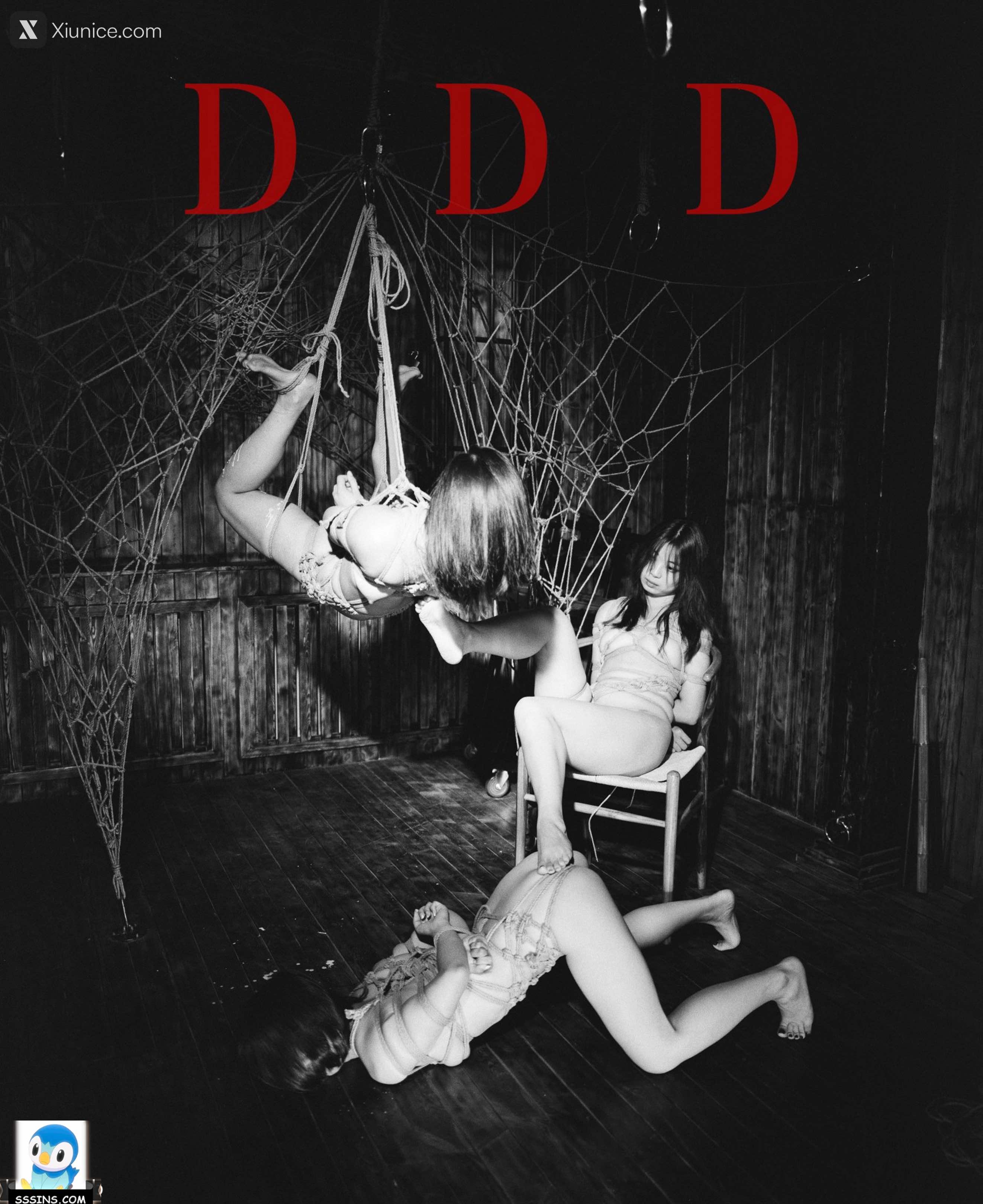 DDD 帝都摄影大师 女体艺术私拍合集 121