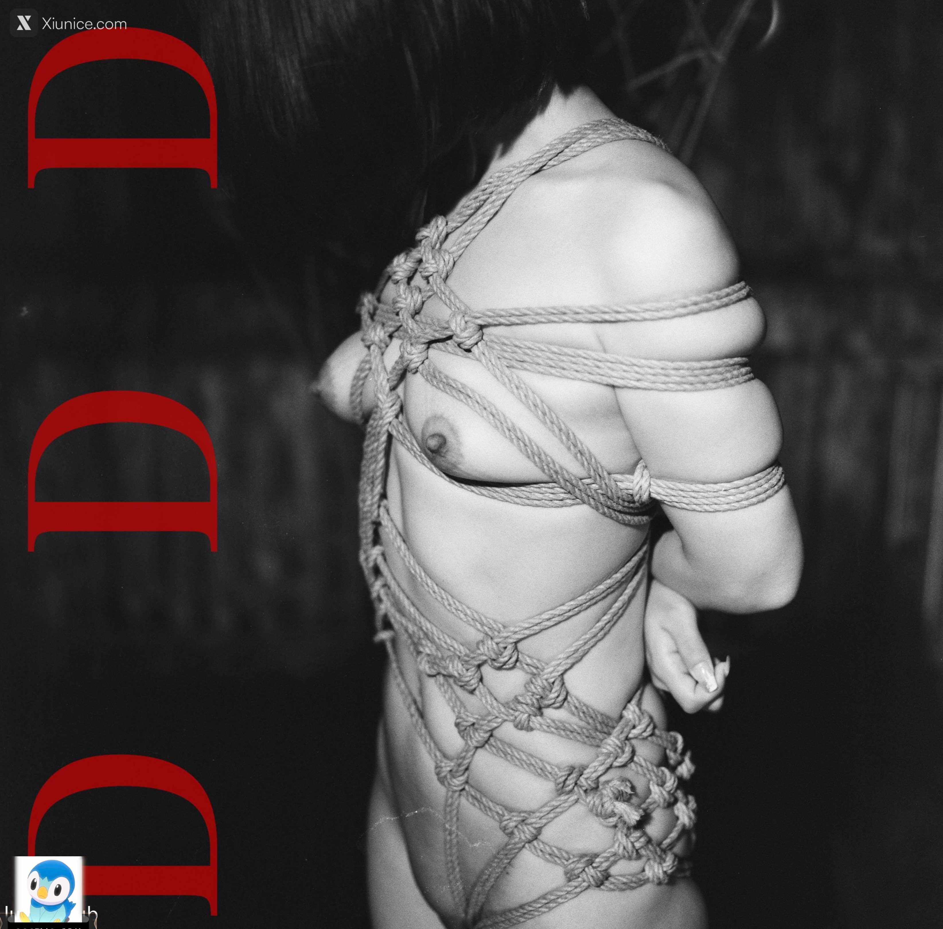 DDD 帝都摄影大师 女体艺术私拍合集 129
