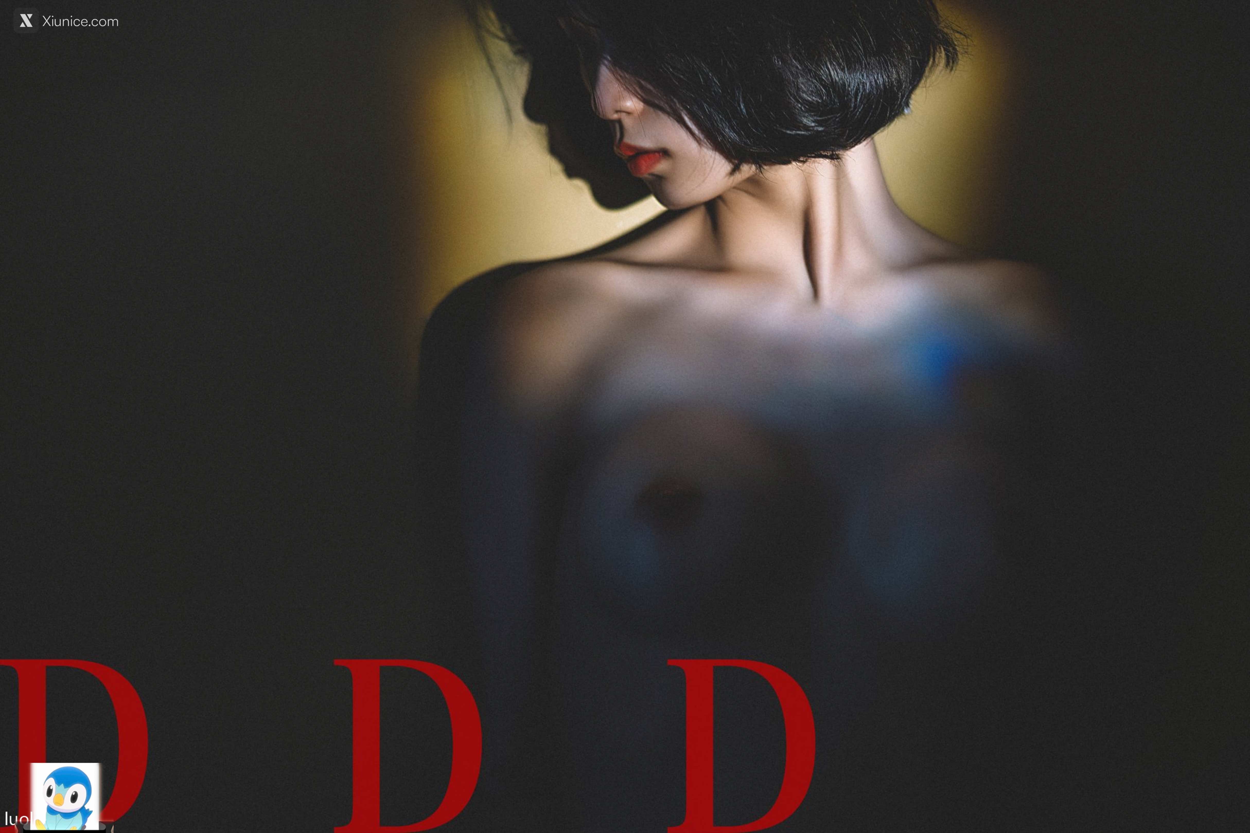 DDD 帝都摄影大师 女体艺术私拍合集 195