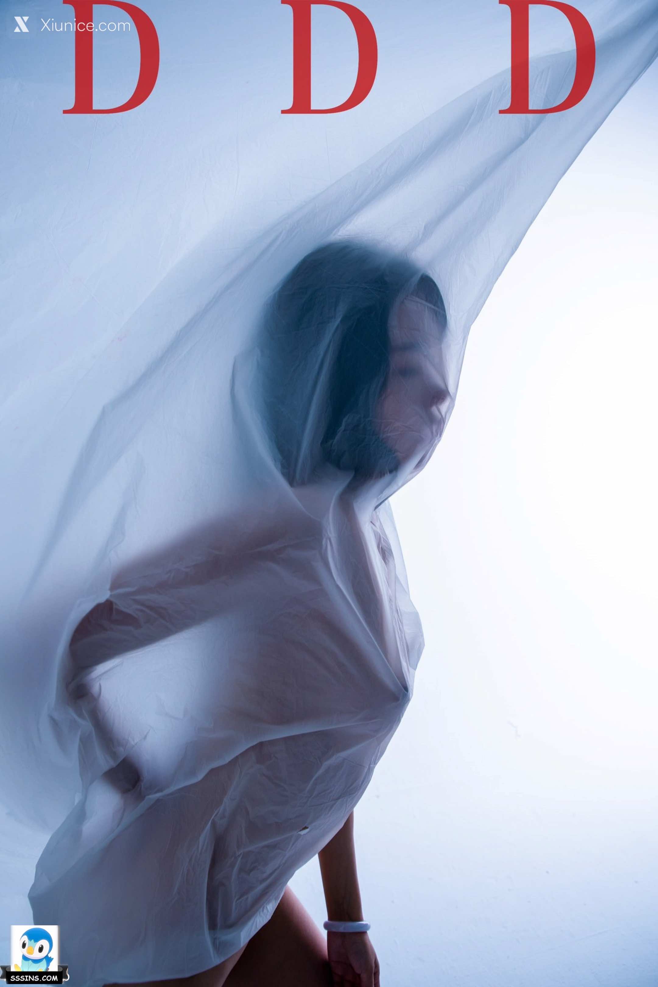 DDD 帝都摄影大师 女体艺术私拍合集 268