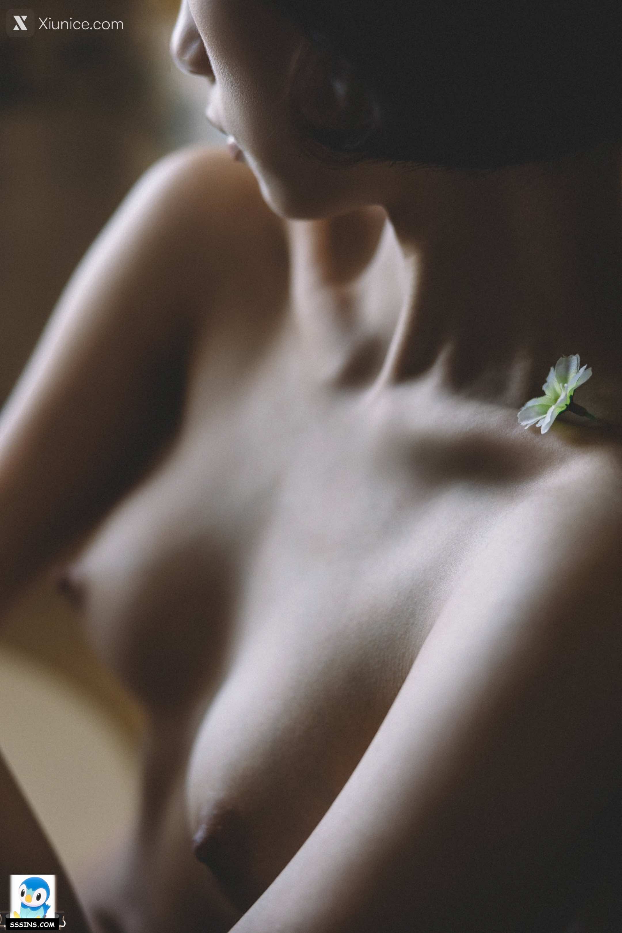 DDD 帝都摄影大师 女体艺术私拍合集 332