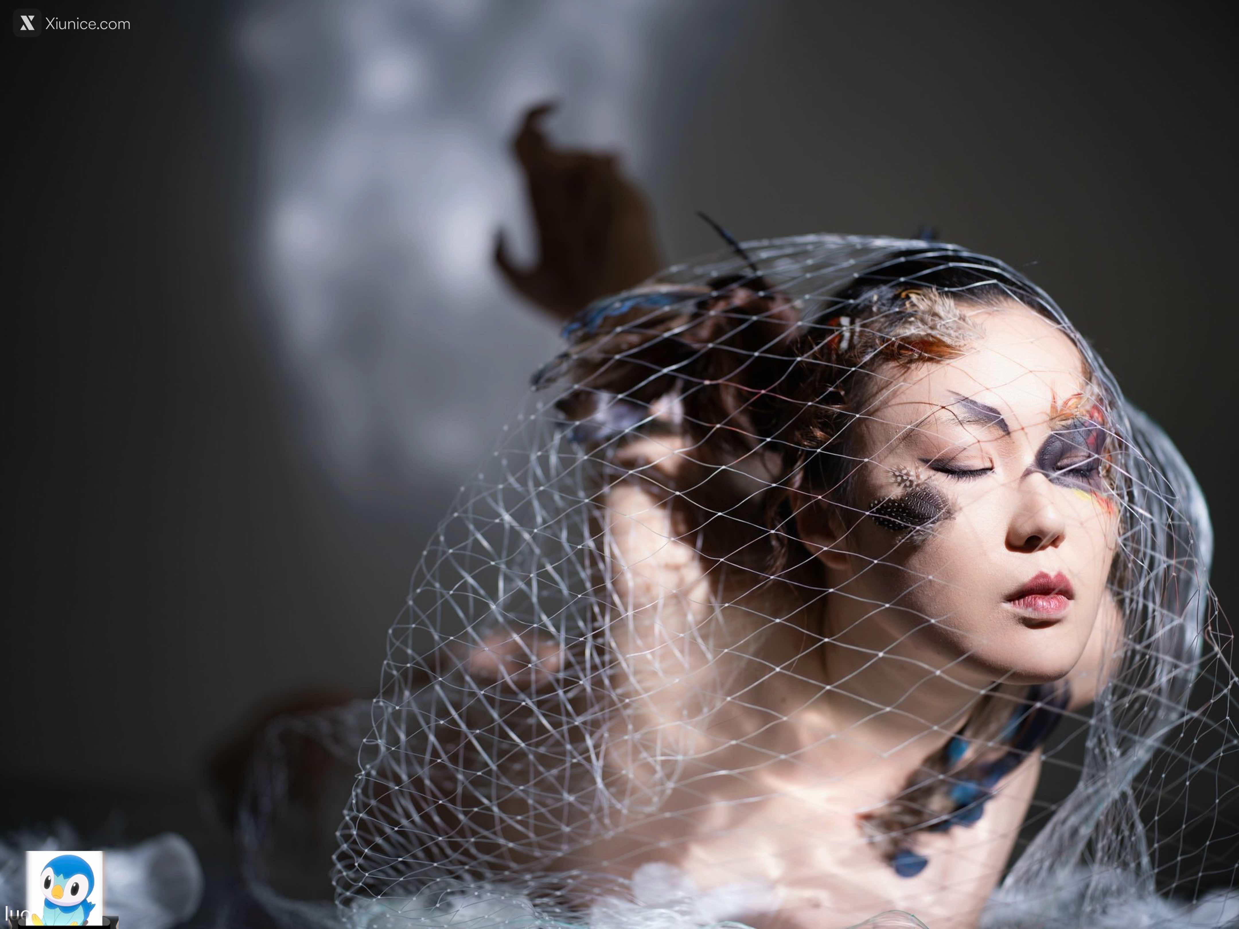 DDD 帝都摄影大师 女体艺术私拍合集 339