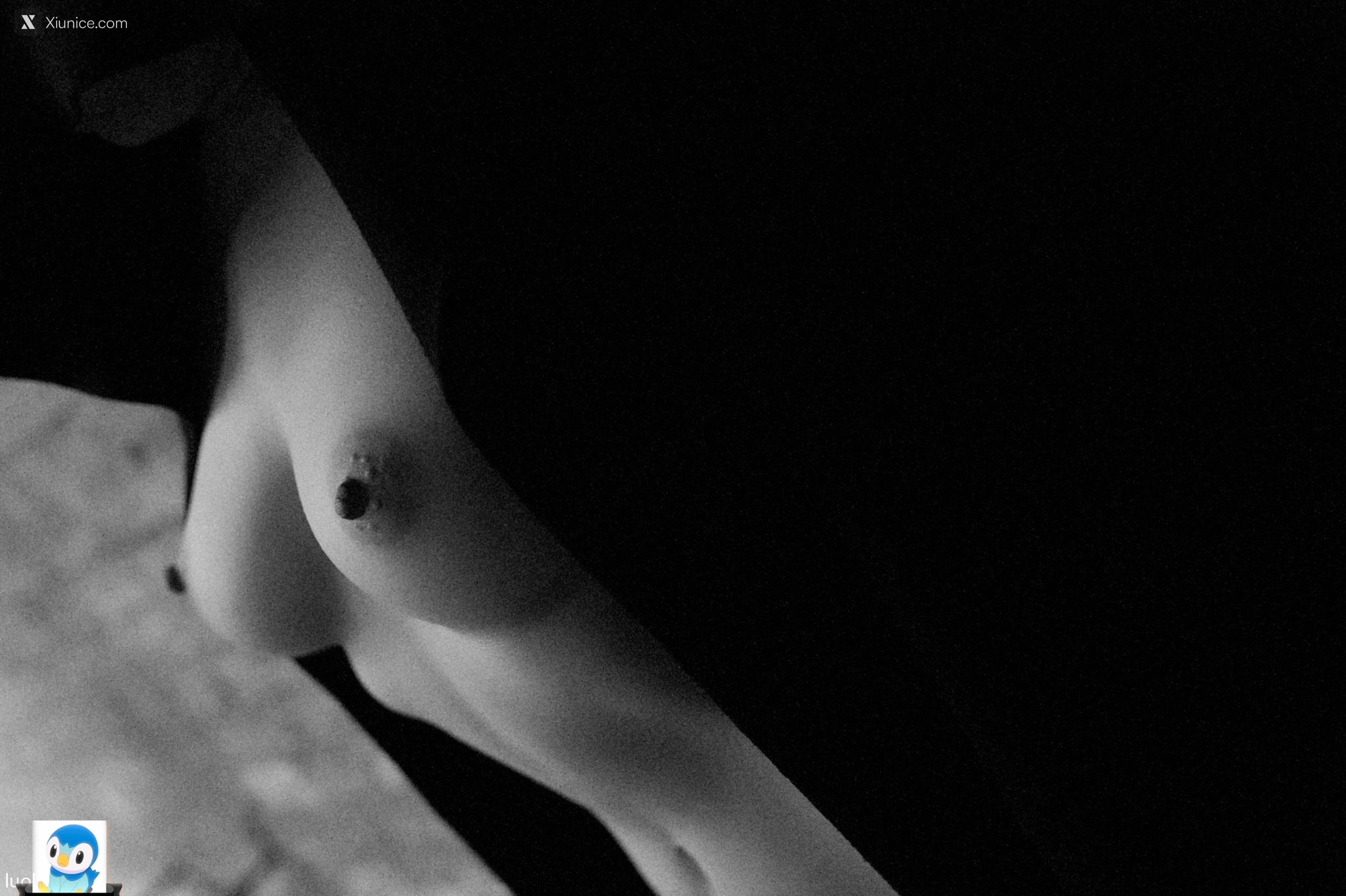 DDD 帝都摄影大师 女体艺术私拍合集 350
