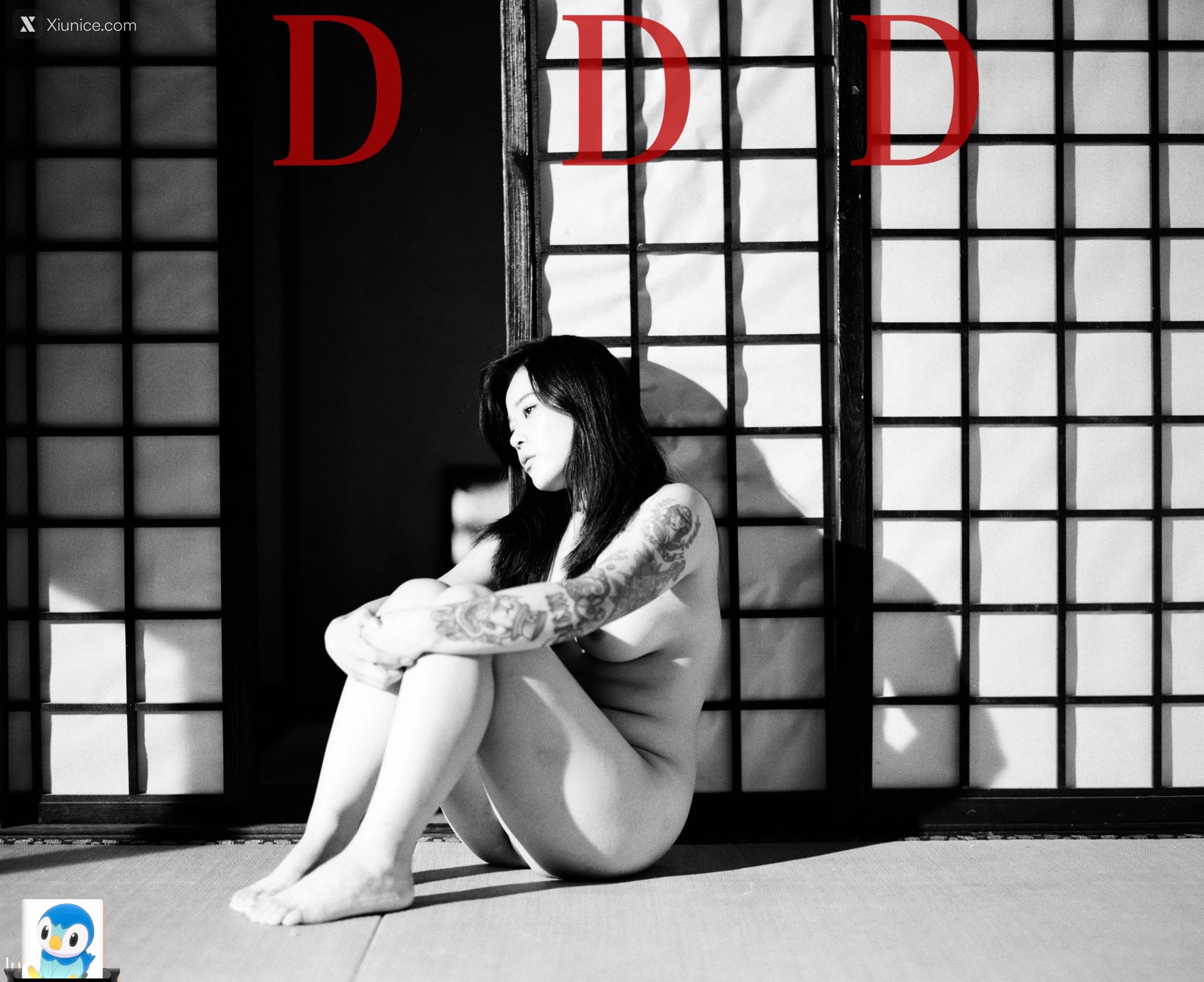 DDD 帝都摄影大师 女体艺术私拍合集 361