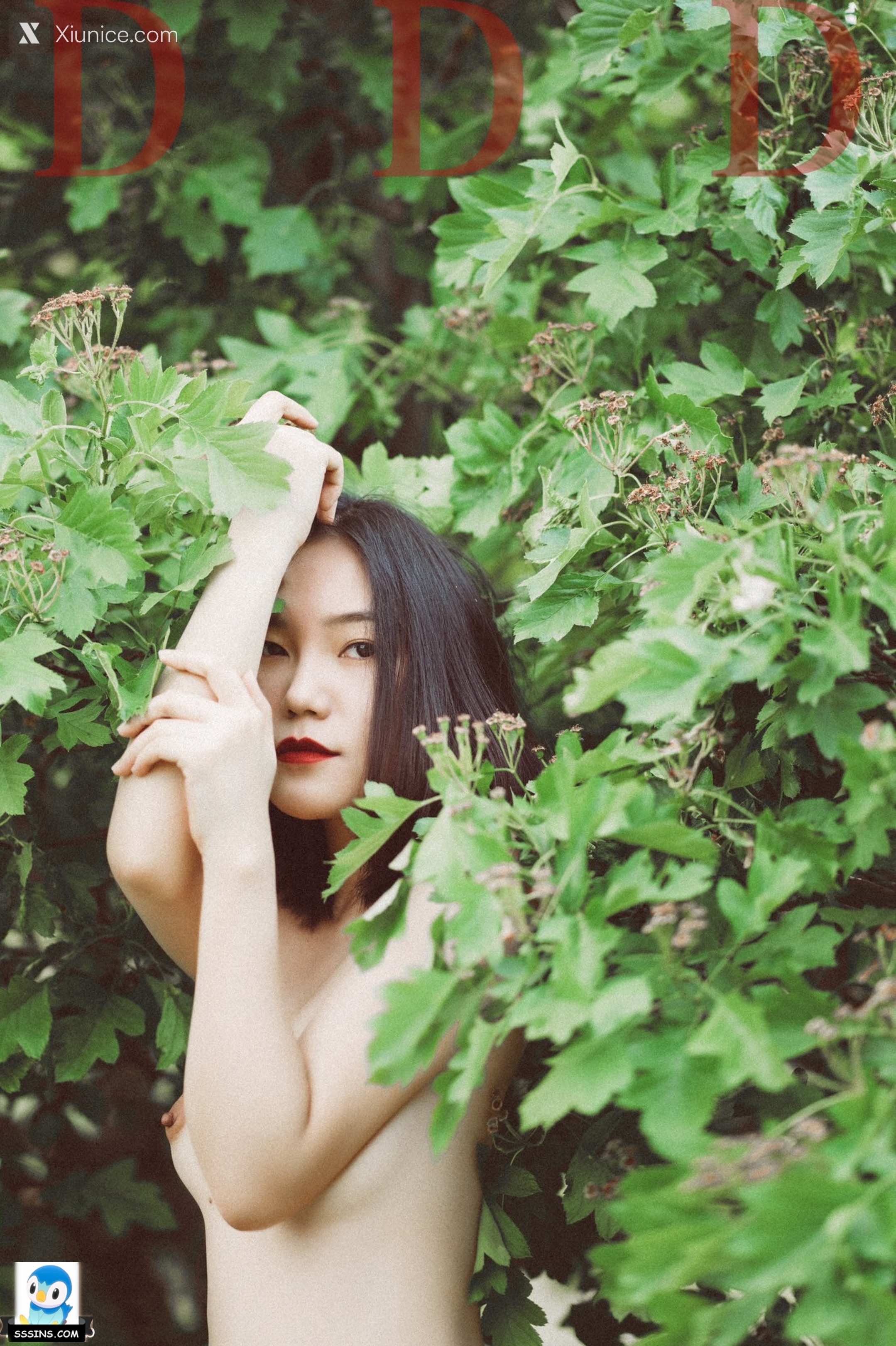 DDD 帝都摄影大师 女体艺术私拍合集 373