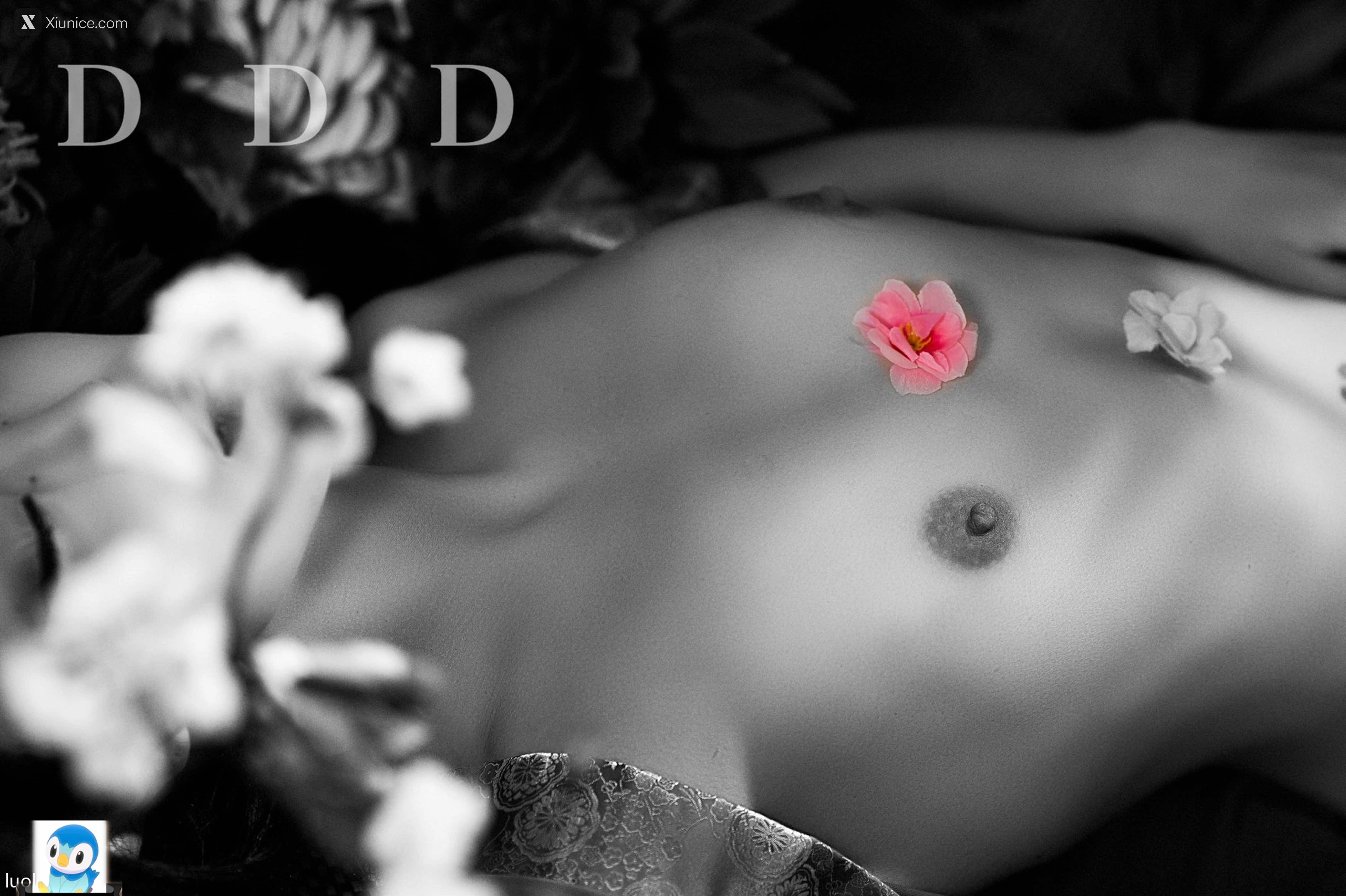 DDD 帝都摄影大师 女体艺术私拍合集 43