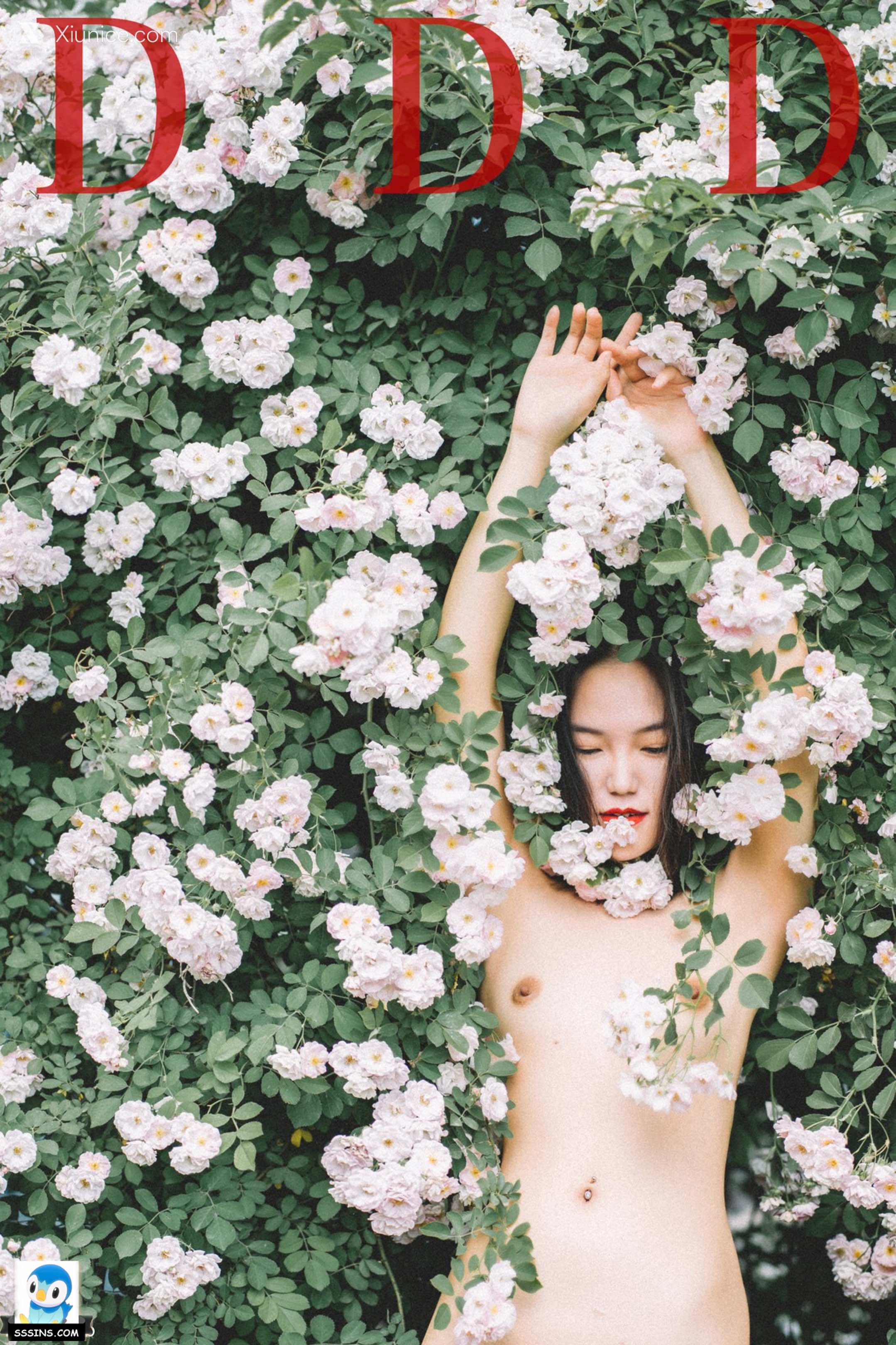 DDD 帝都摄影大师 女体艺术私拍合集 45