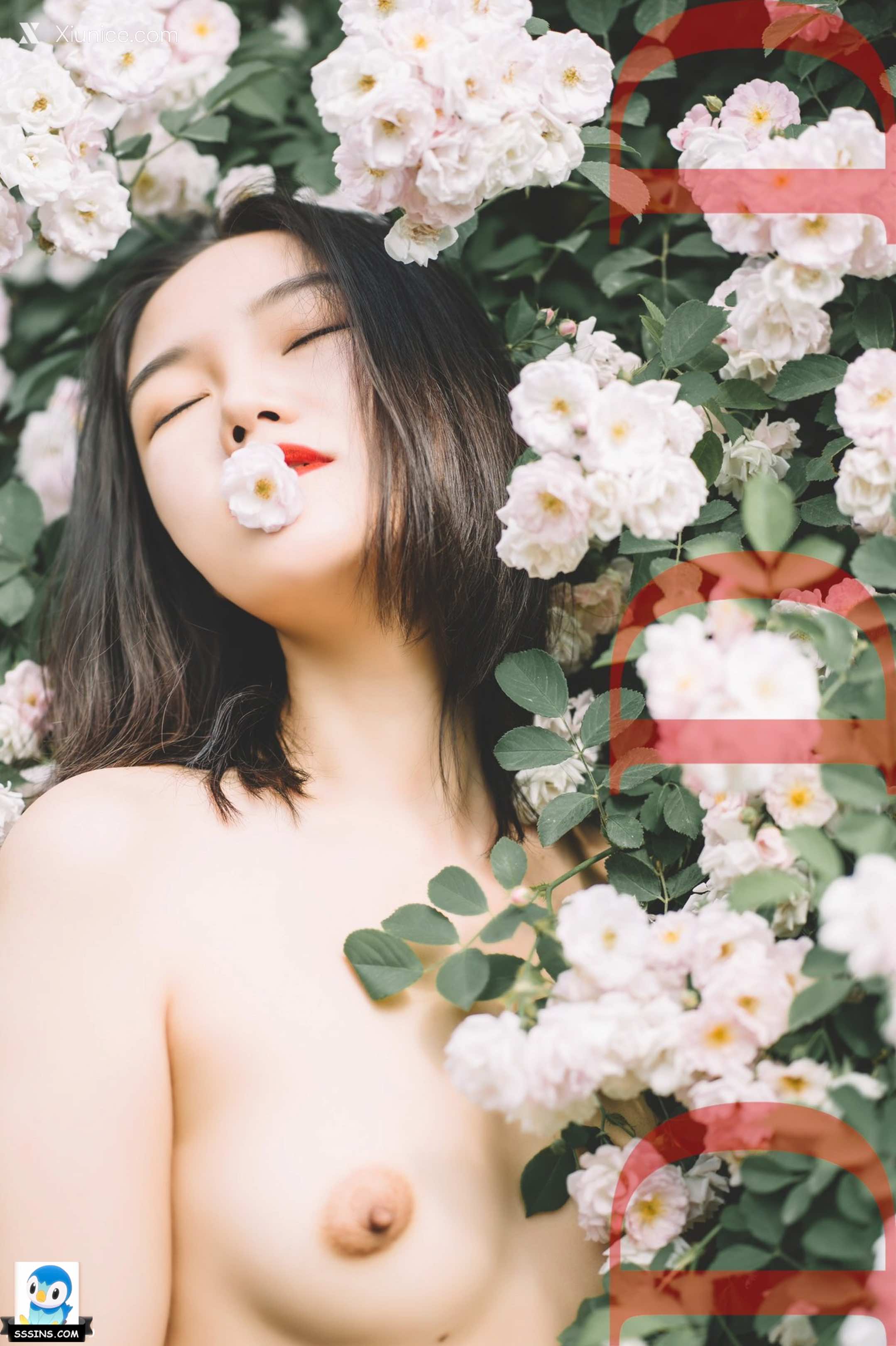 DDD 帝都摄影大师 女体艺术私拍合集 47