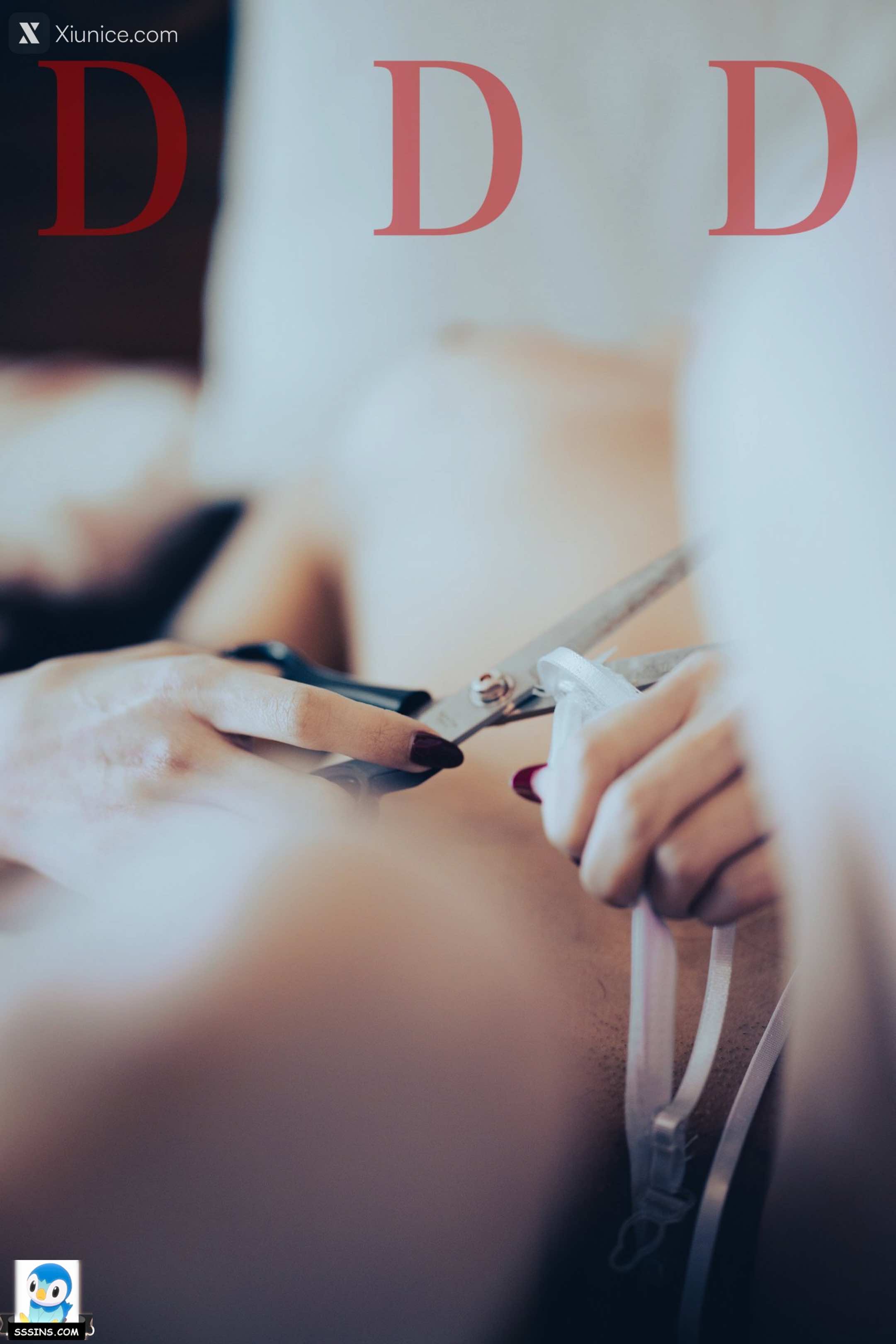 DDD 帝都摄影大师 女体艺术私拍合集 55