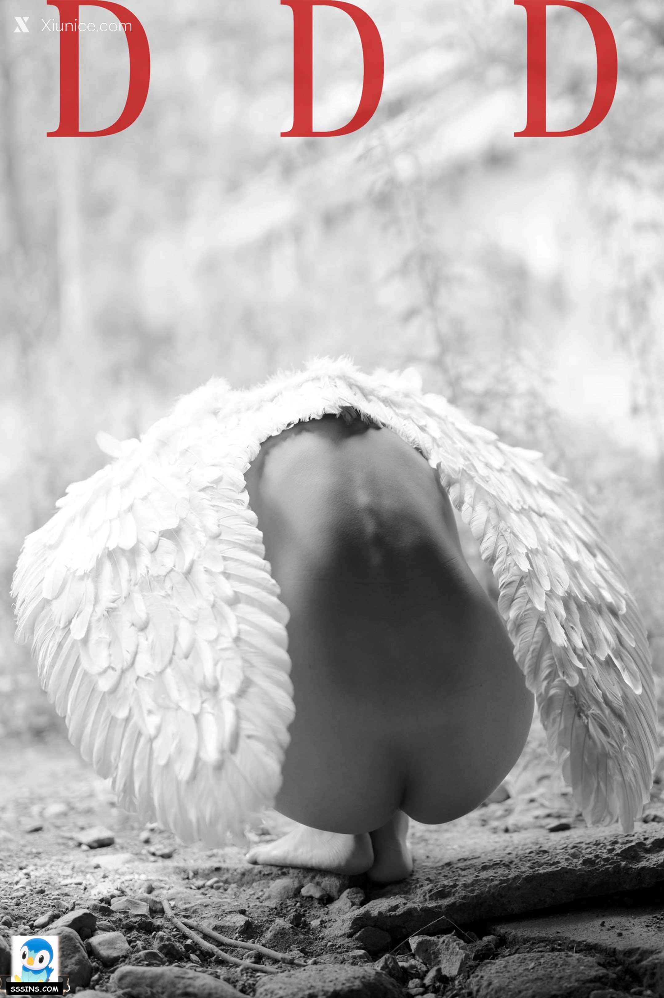 DDD 帝都摄影大师 女体艺术私拍合集 78