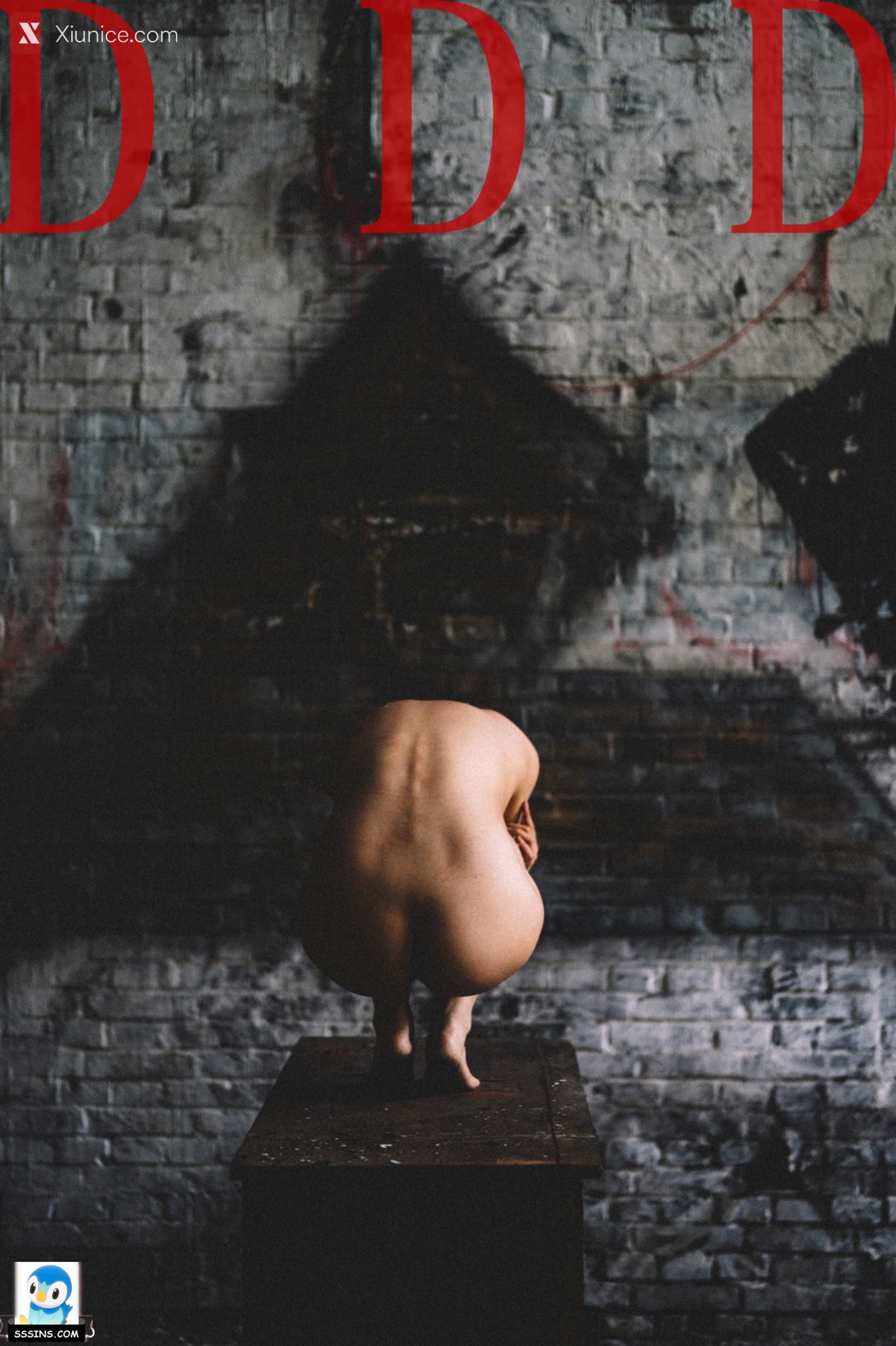 DDD 帝都摄影大师 女体艺术私拍合集 83