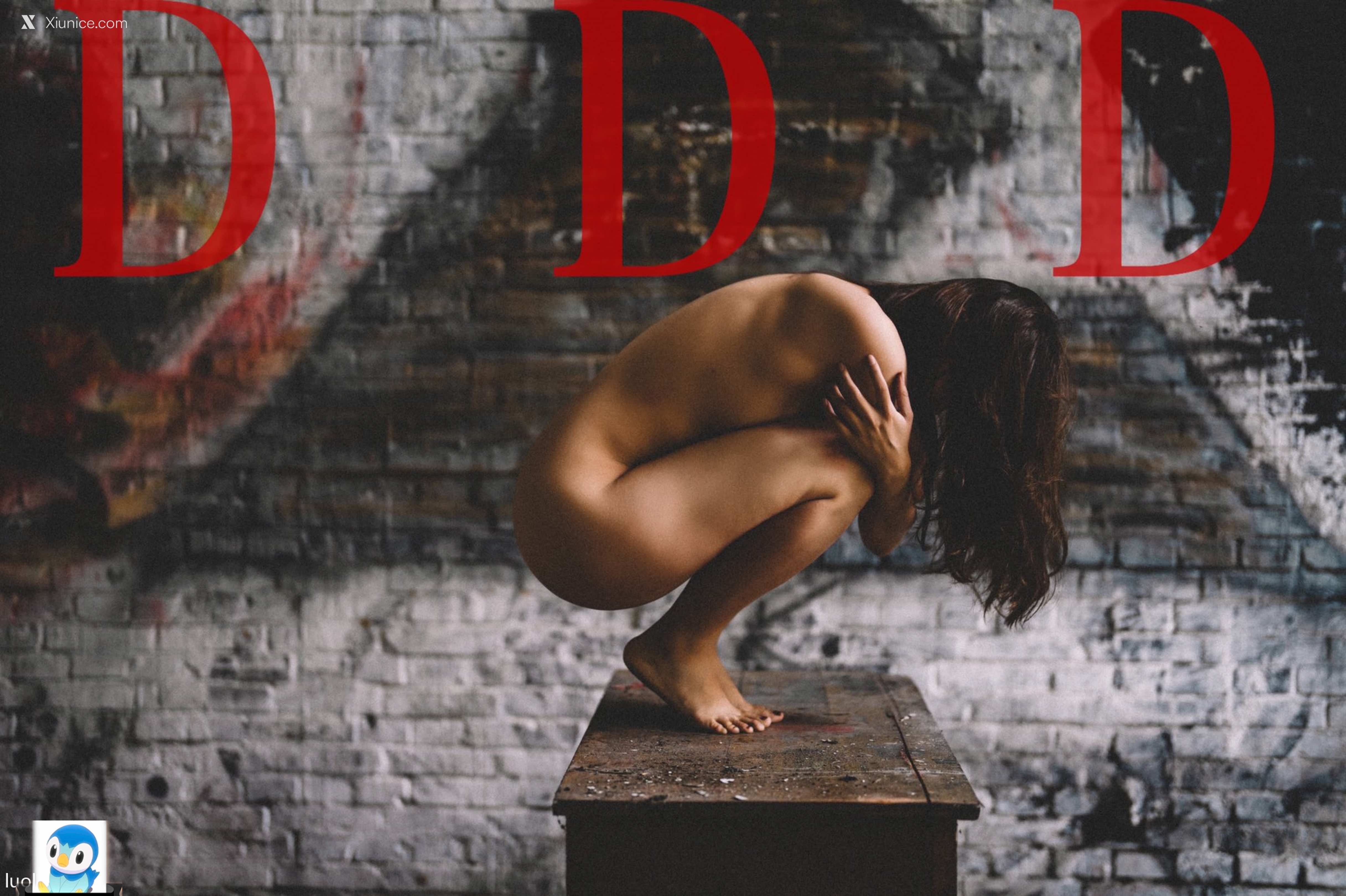 DDD 帝都摄影大师 女体艺术私拍合集 84