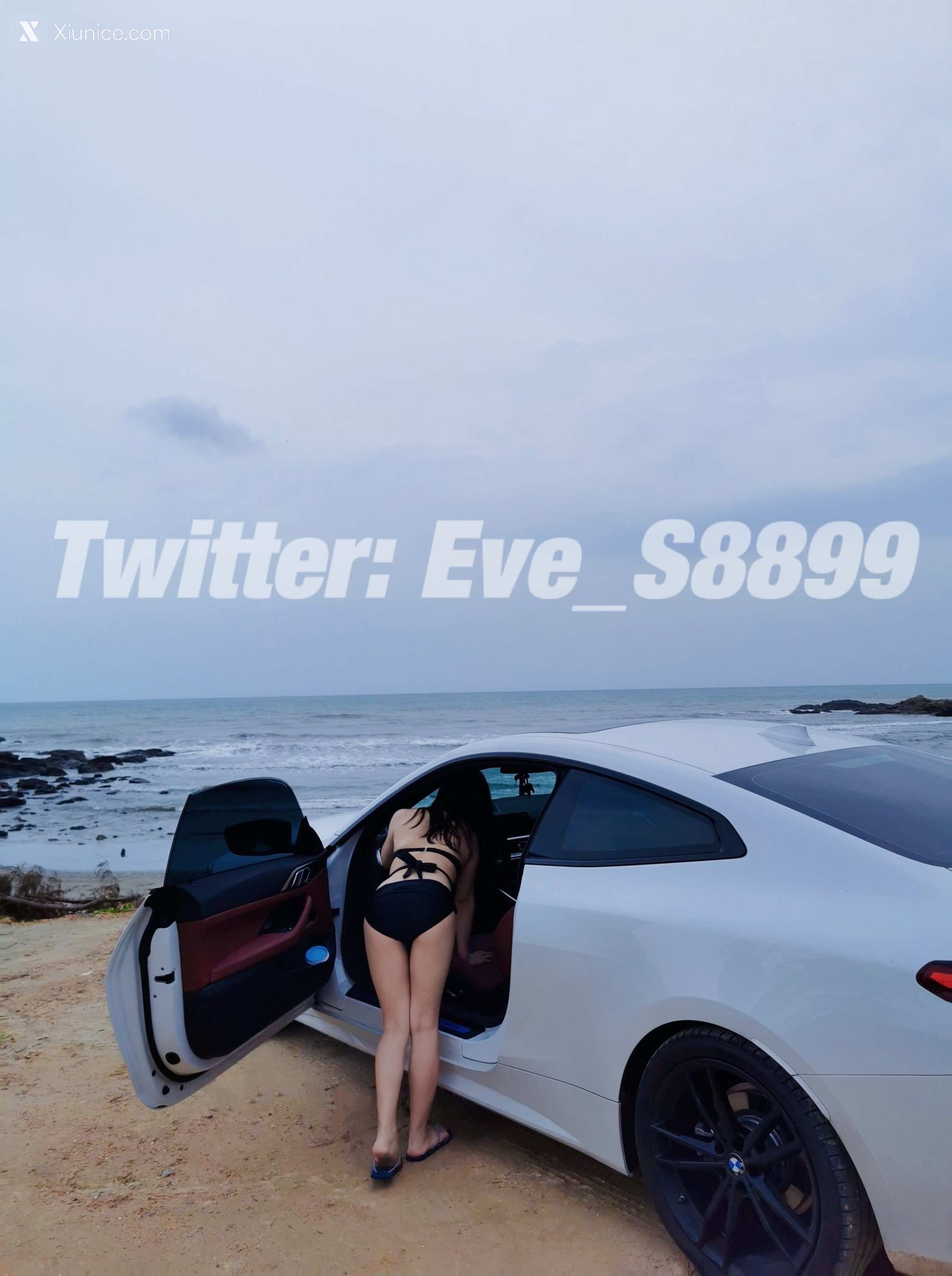 Eve&Eve S8899 你的颜骑女王已上线 90