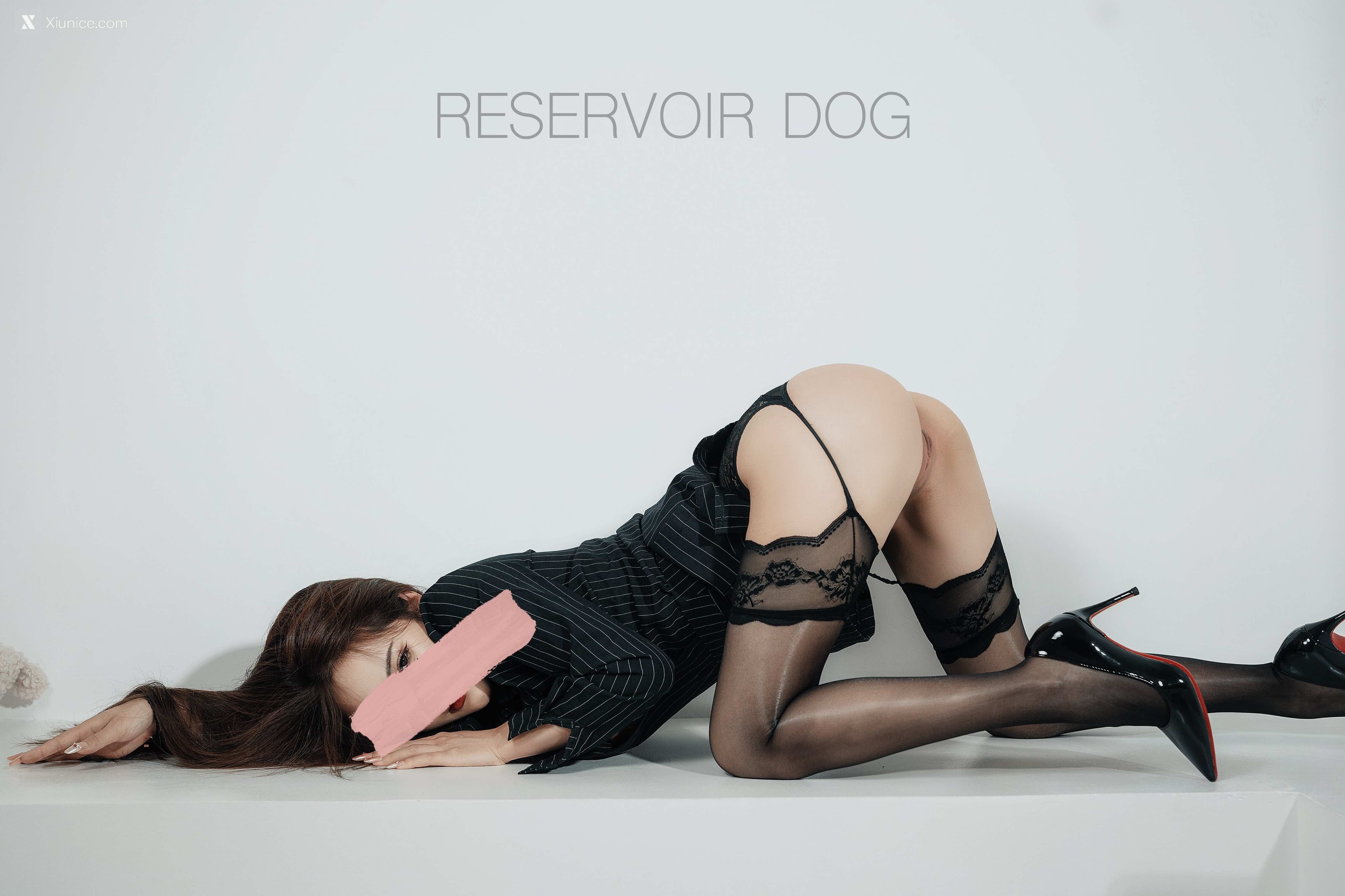 Reservoir Dog 第二弹 5