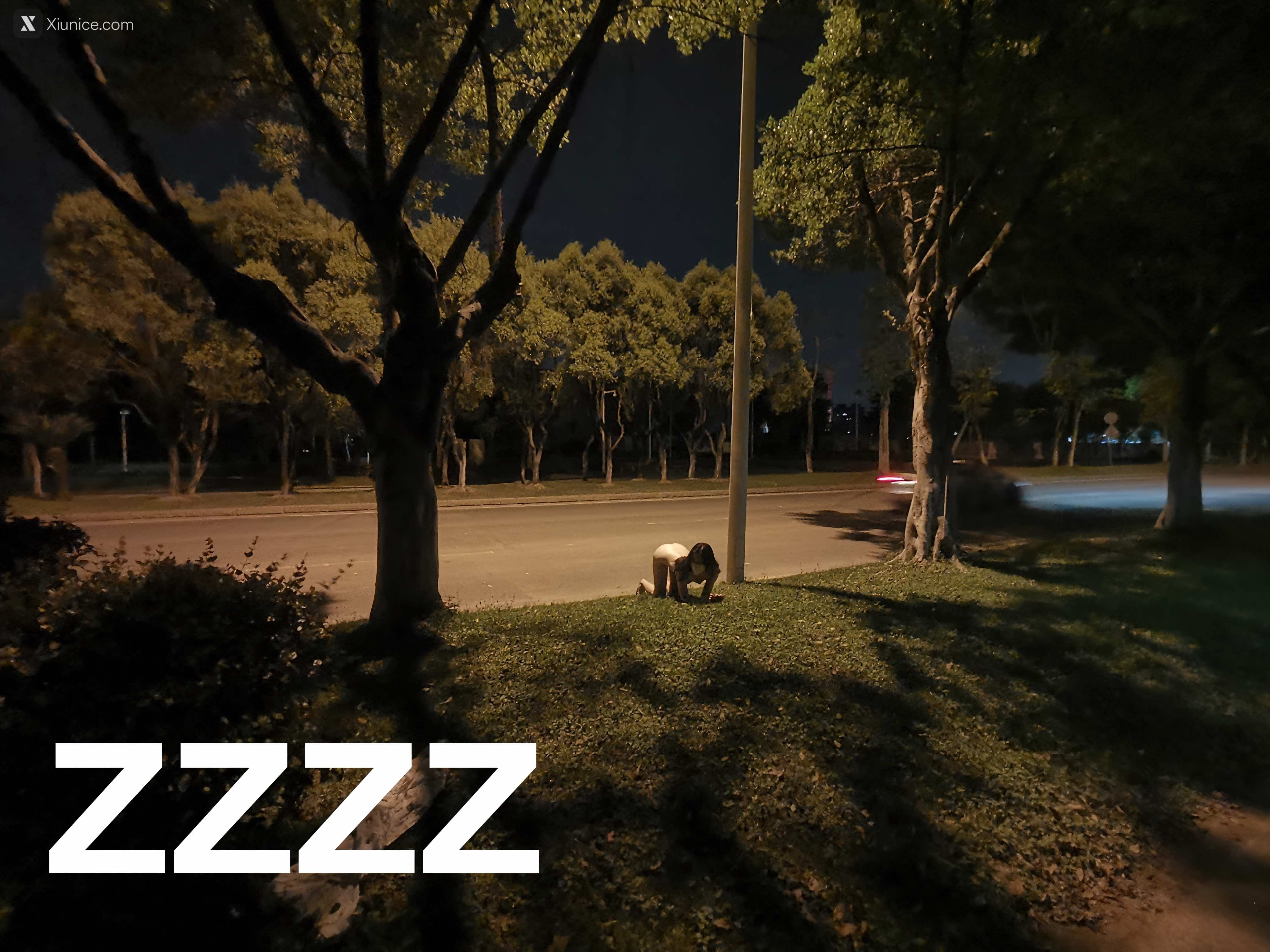 ZZZZ 户外露出视图 81