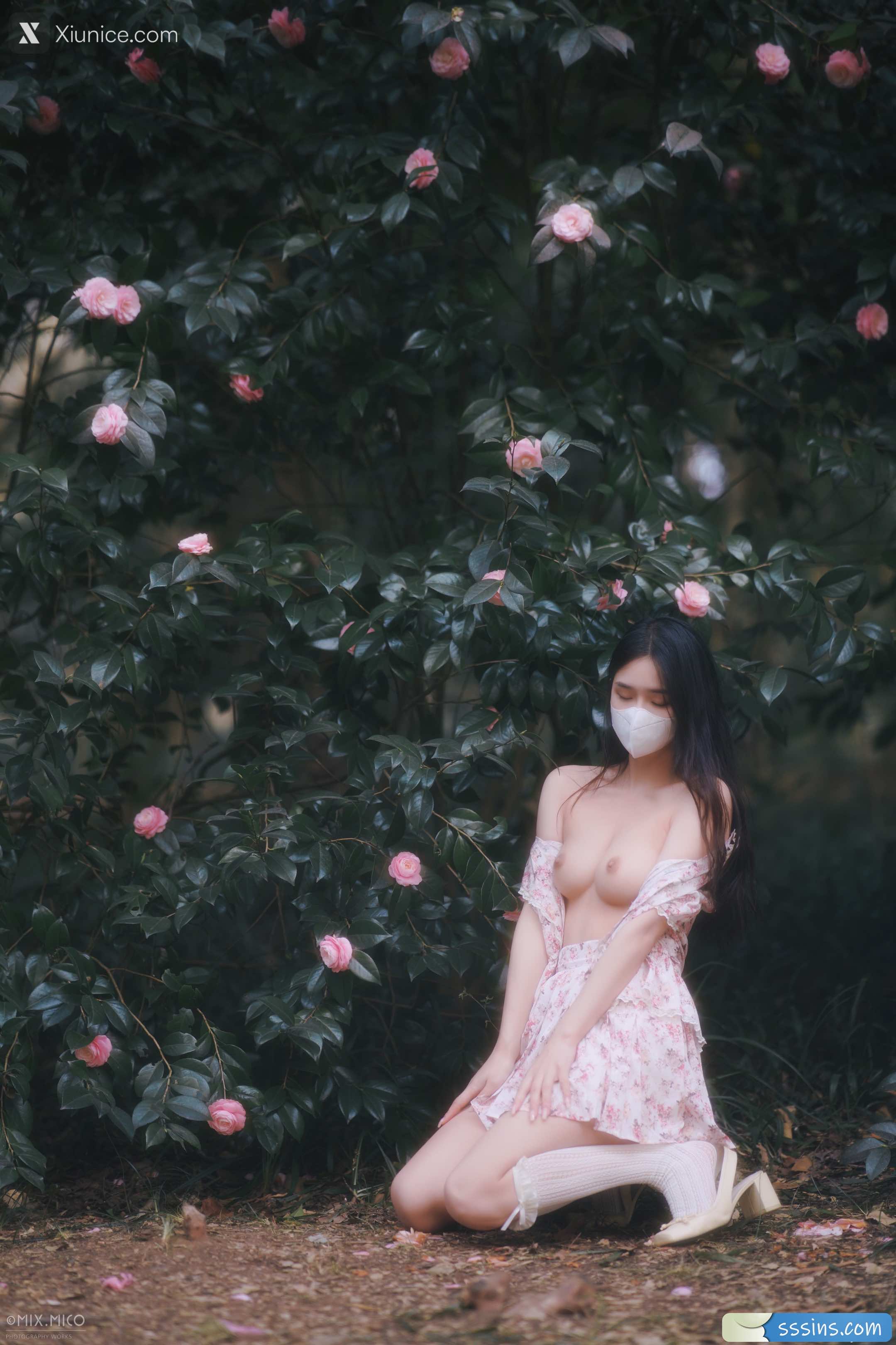 MixMico 美女色情摄影写拍集 455