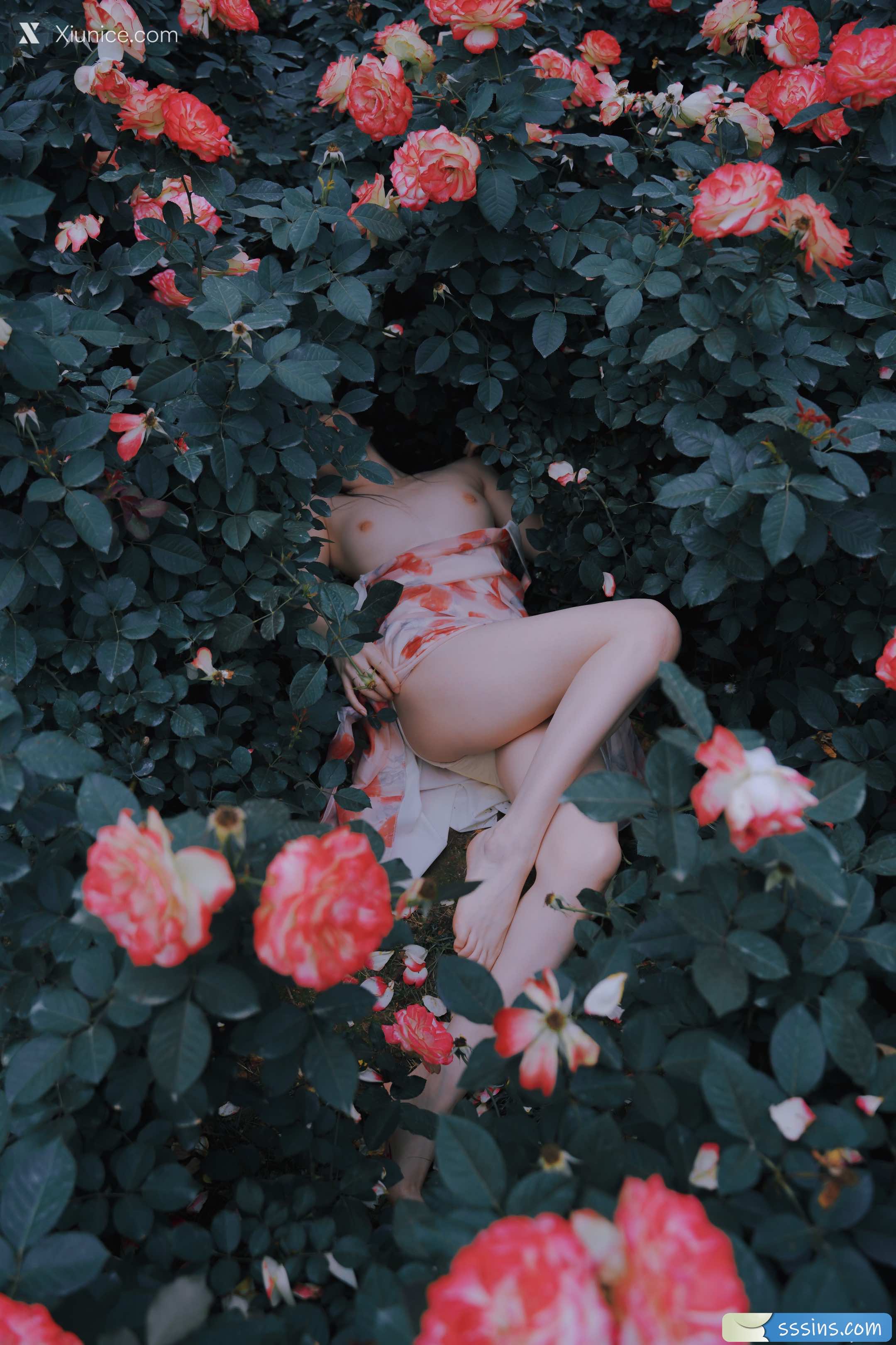 MixMico 美女色情摄影写拍集 488