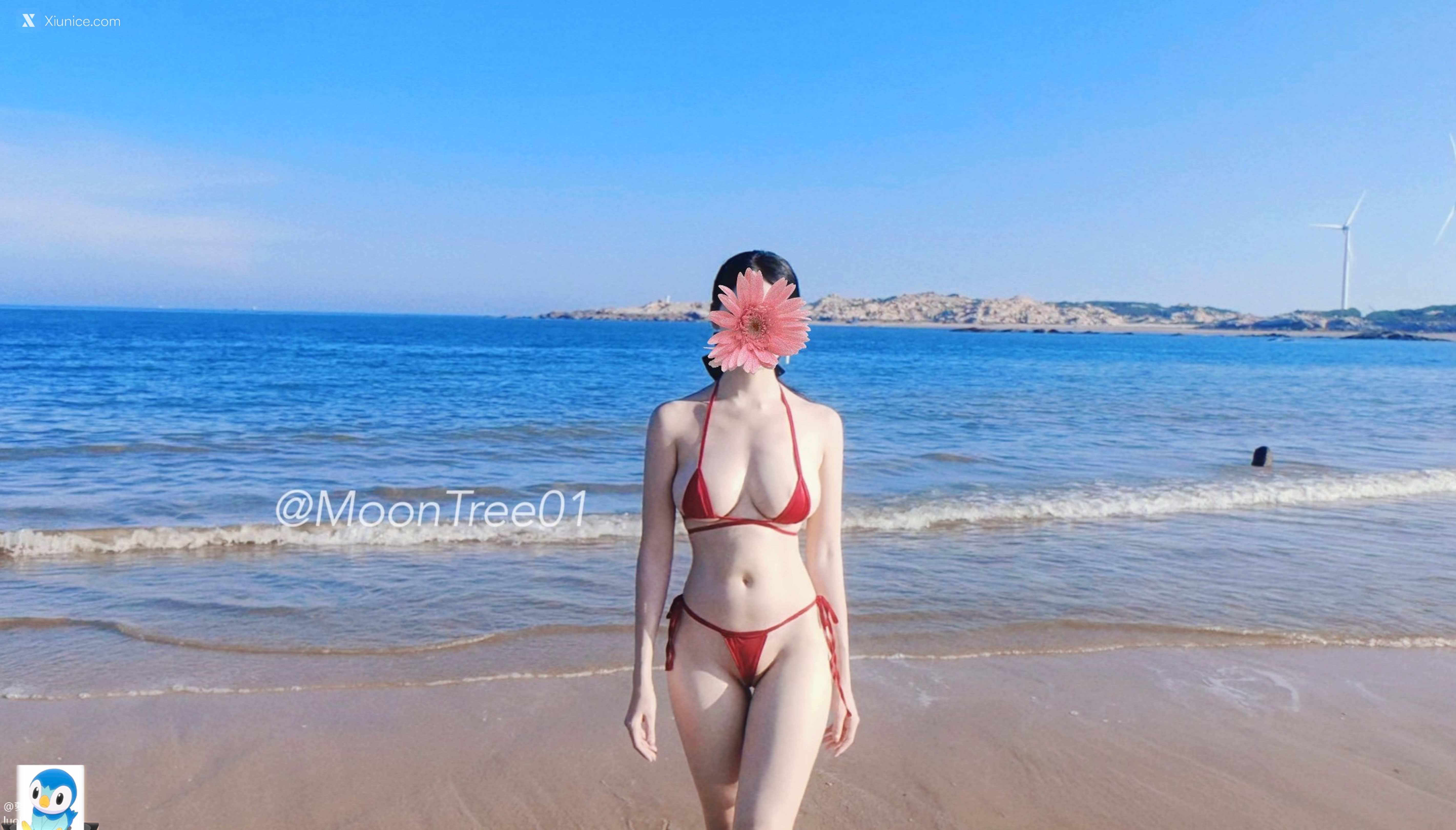 MoonTree01 酥胸福利姬 白净写拍集 345