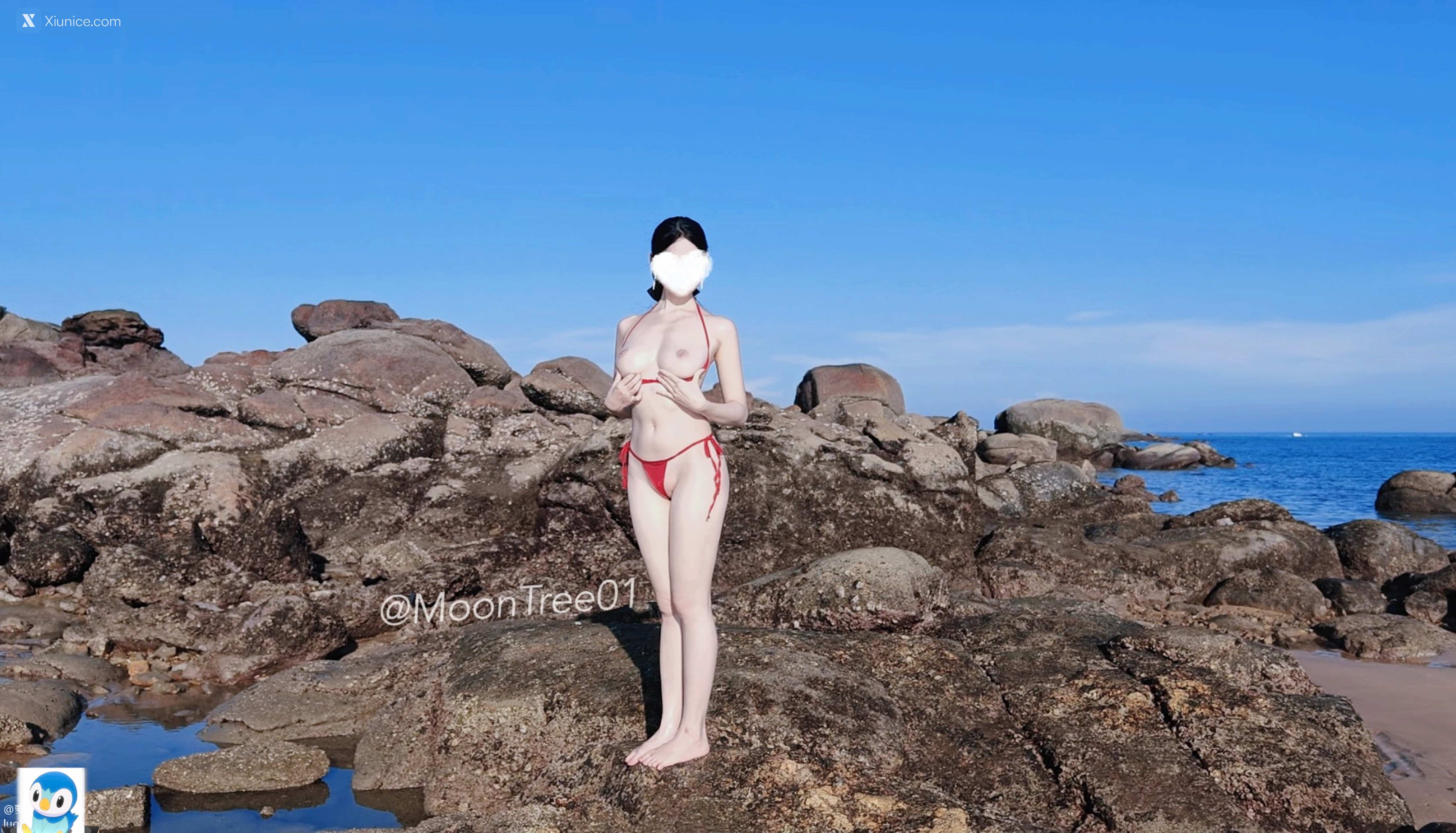 MoonTree01 酥胸福利姬 白净写拍集 347
