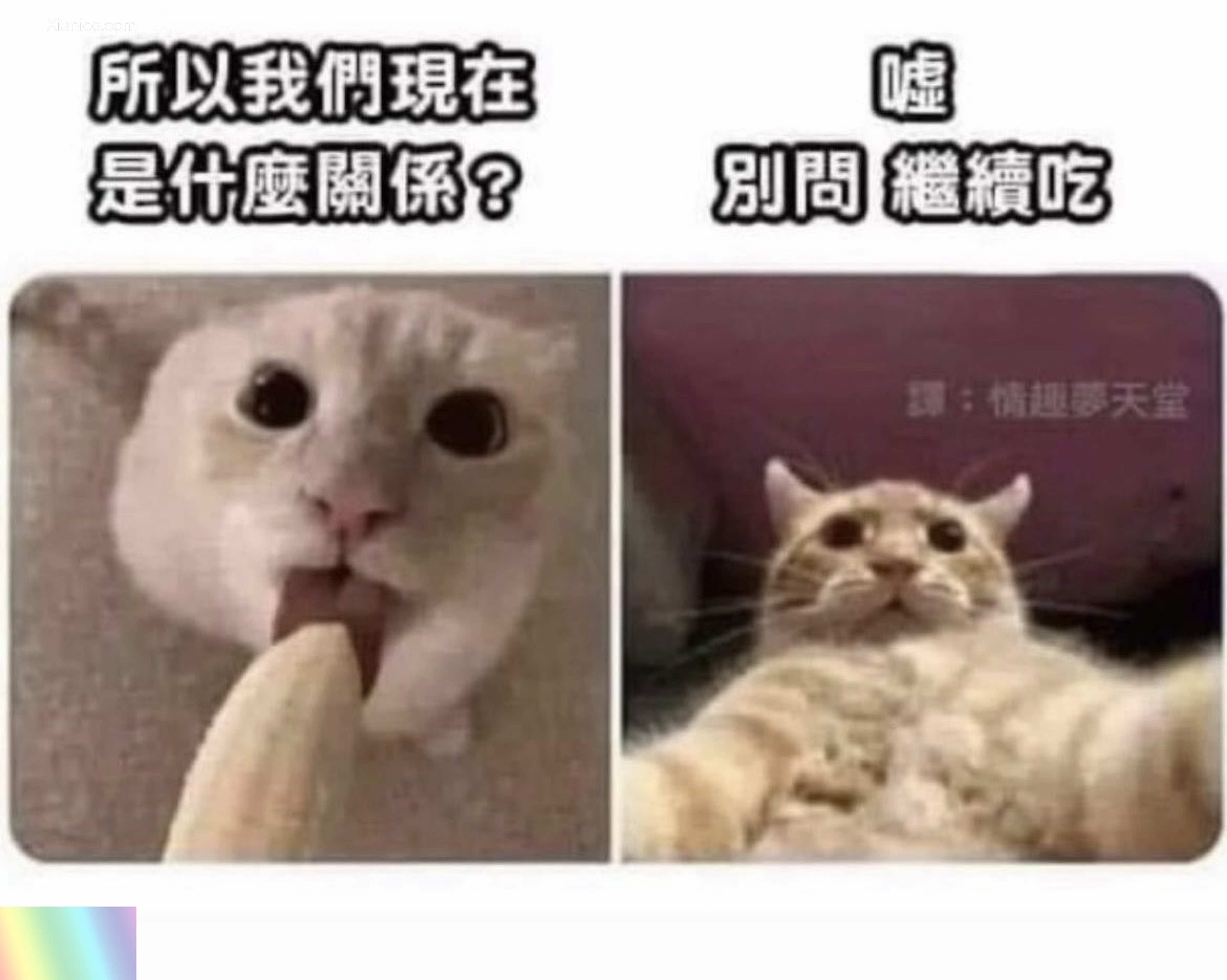TWIN 才发现原来自己高潮的时候脚趾头会折起来了 反差白虎母狗人前露出调教 58