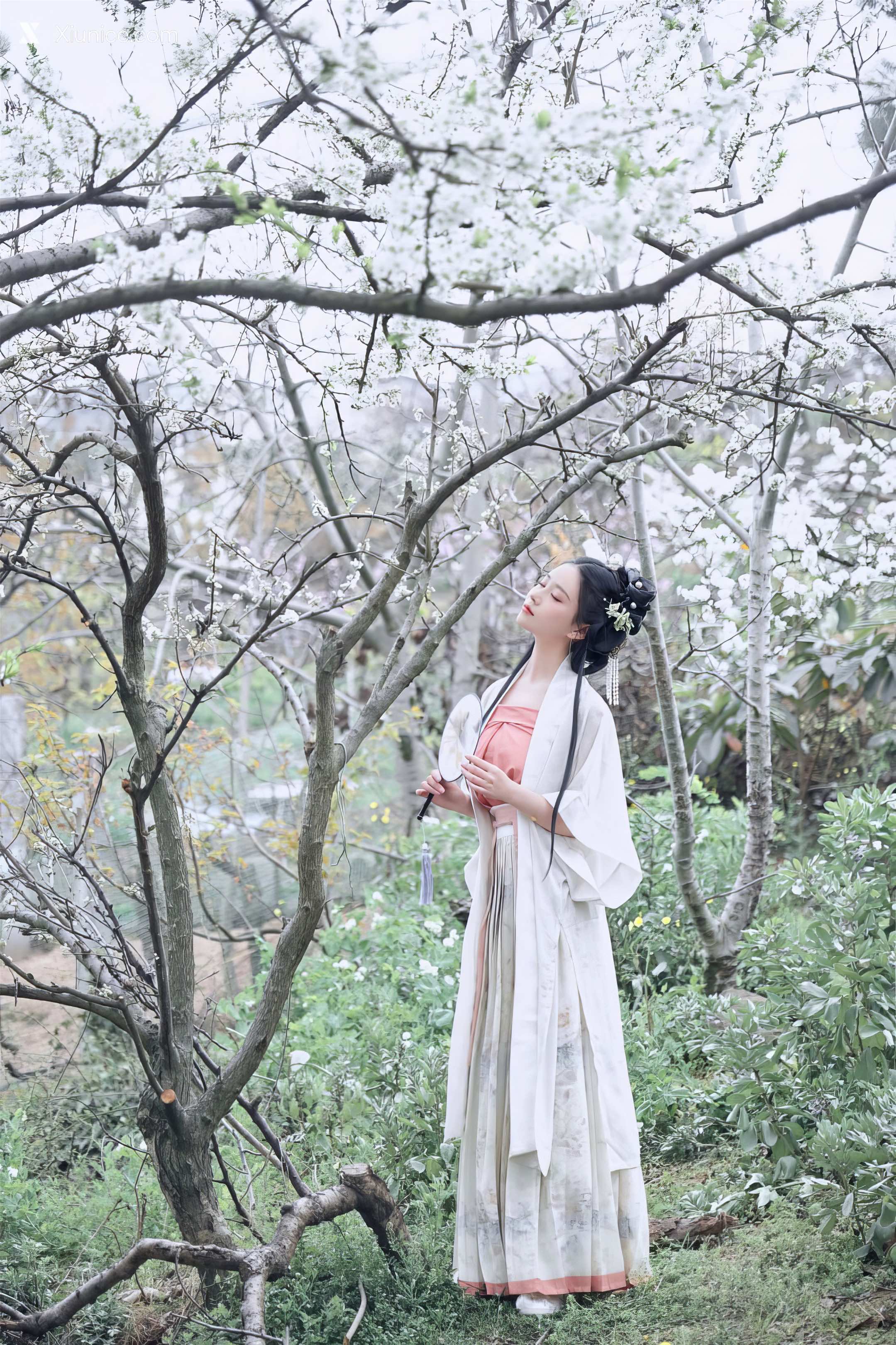 Coser 年年Nnian 三月花 2