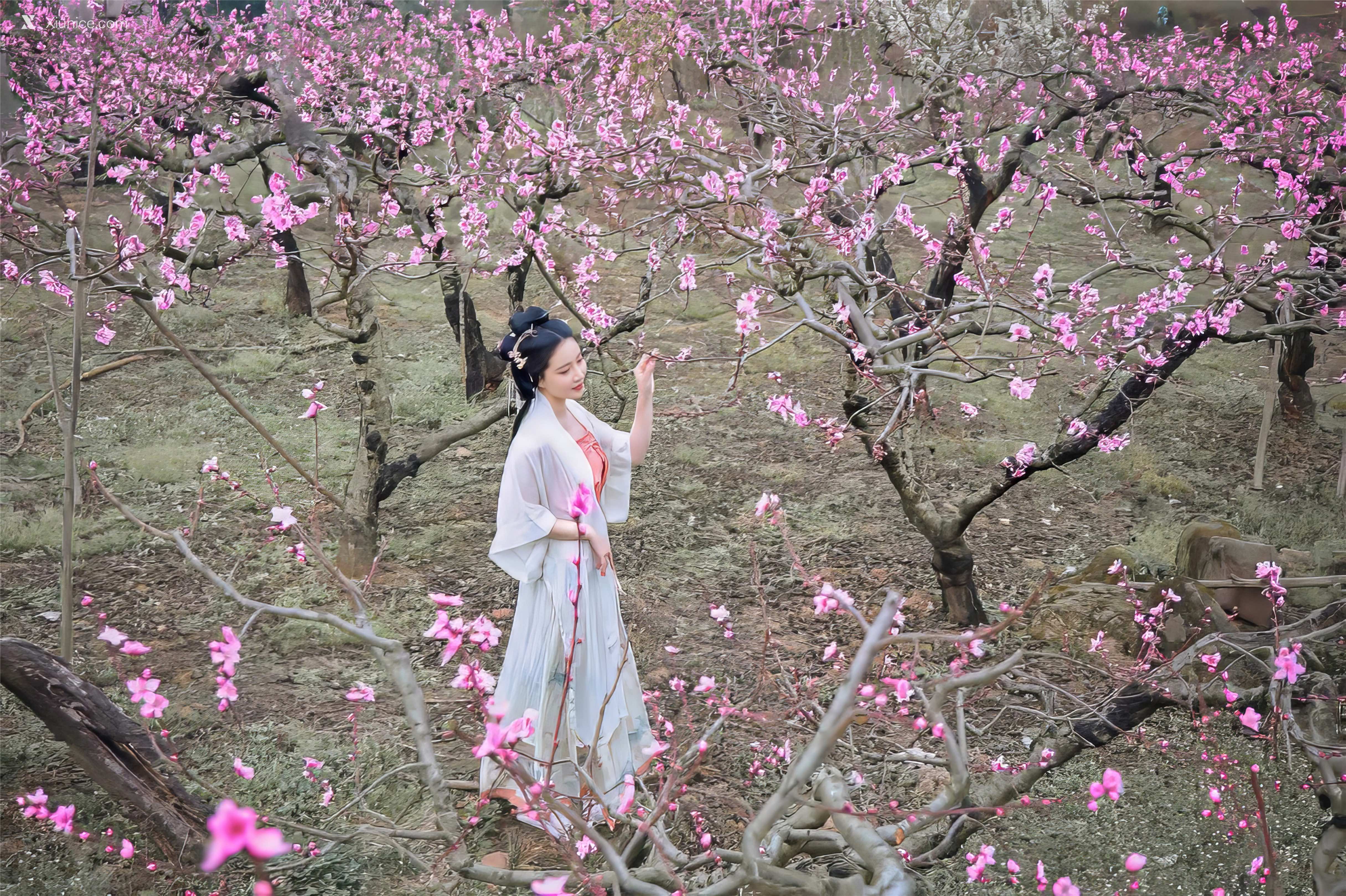 Coser 年年Nnian 三月花 20