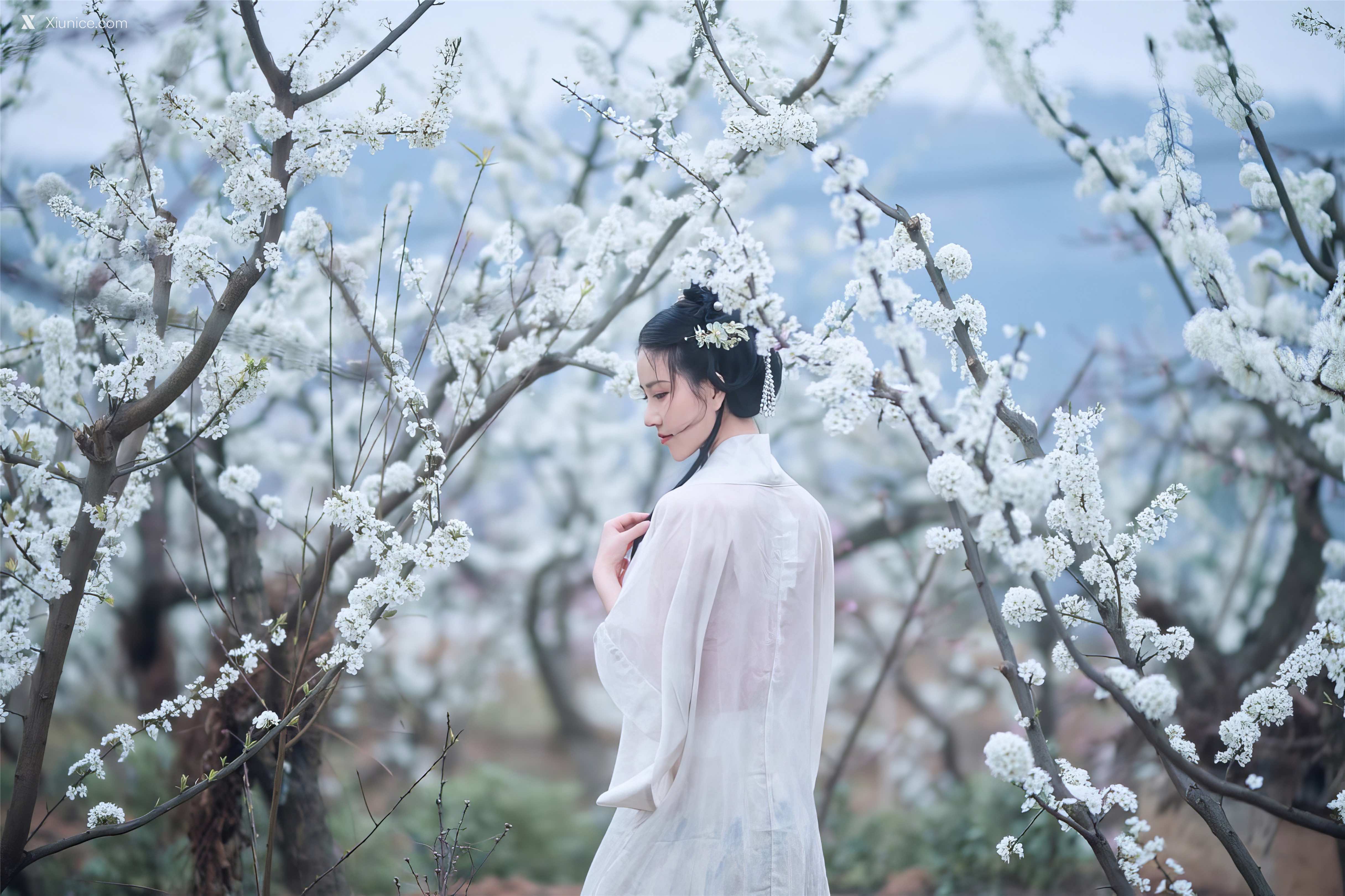 Coser 年年Nnian 三月花 22