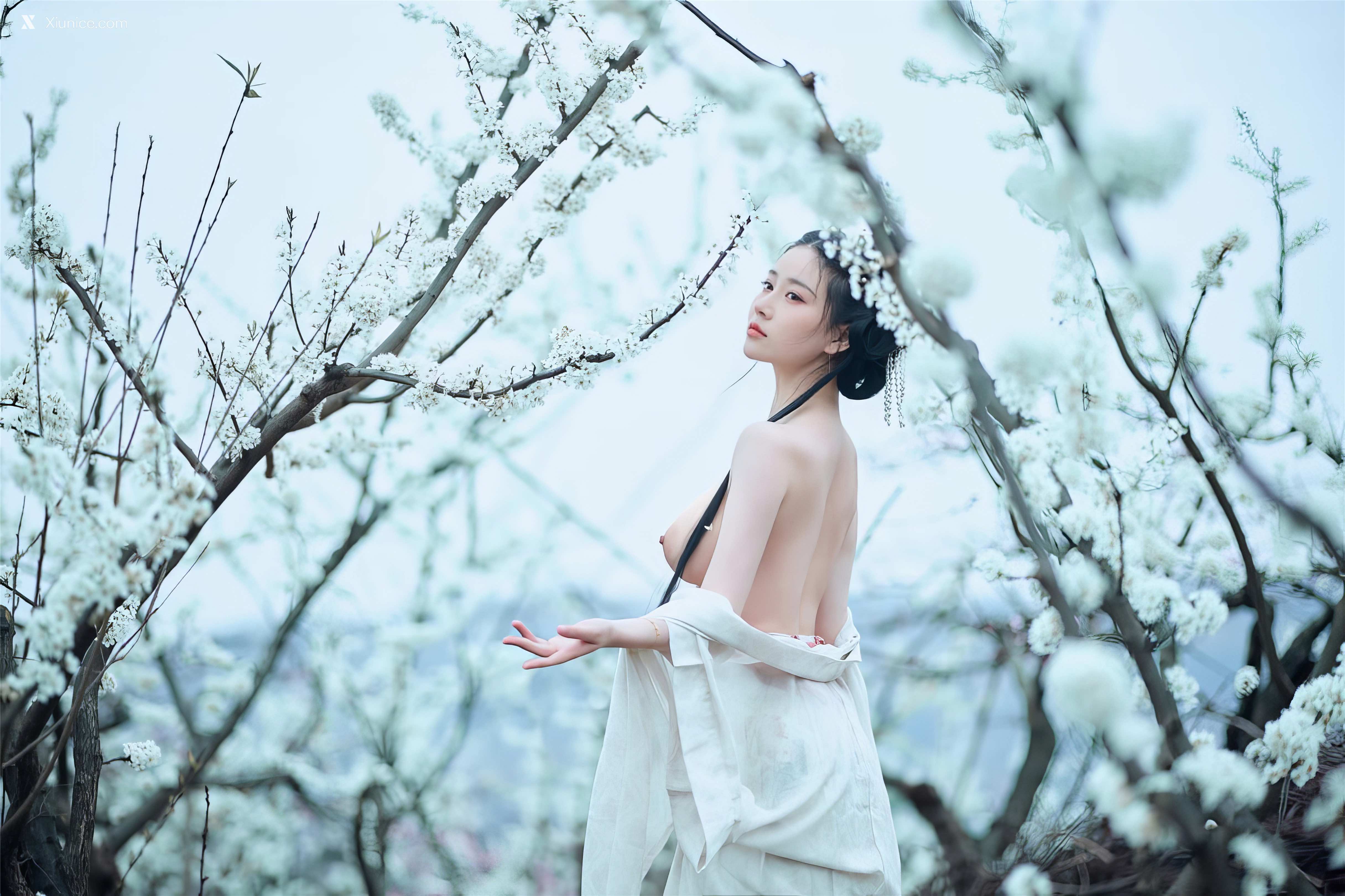 Coser 年年Nnian 三月花 48