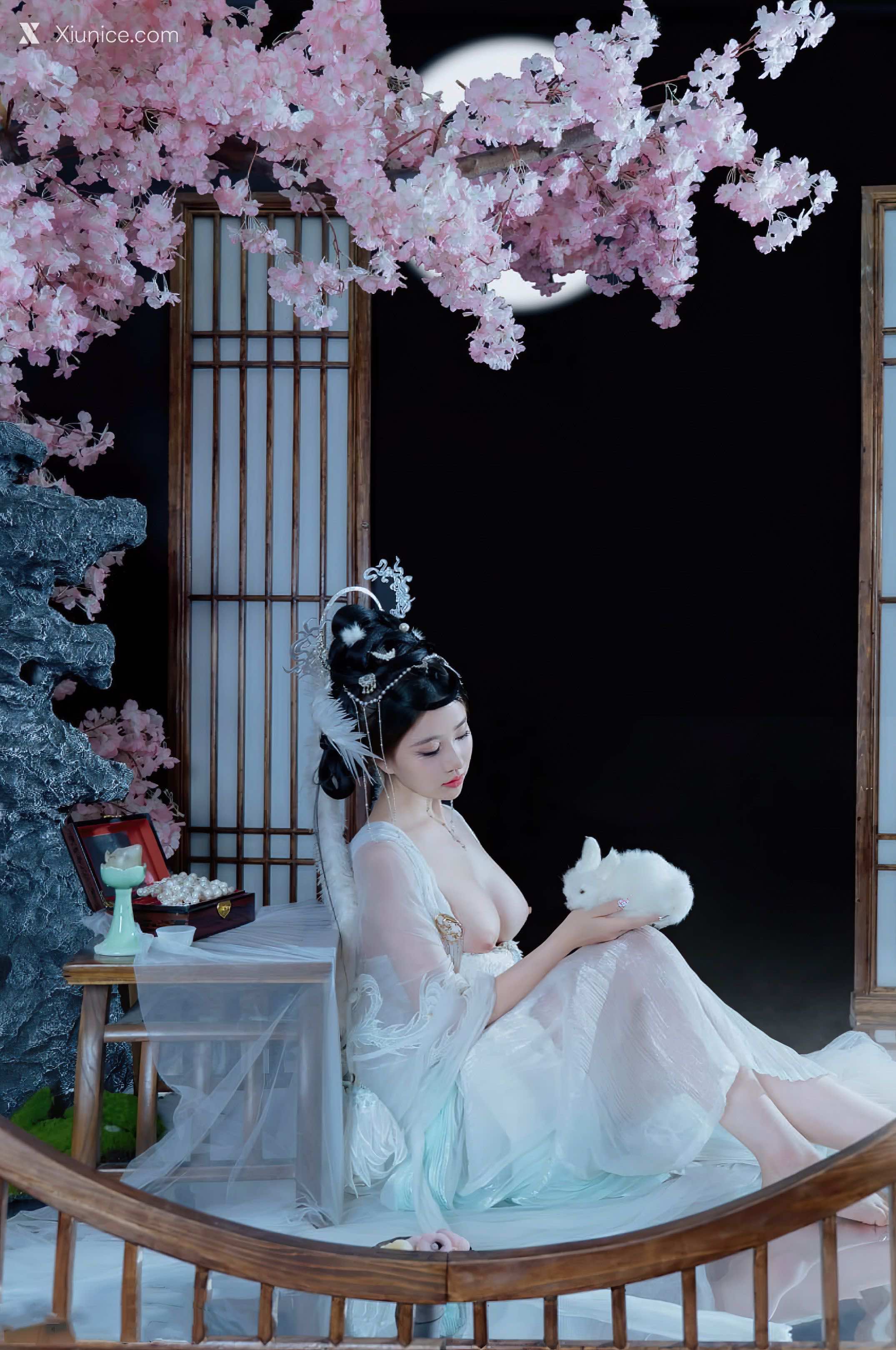Coser 年年Nnian 嫦娥仙子 20