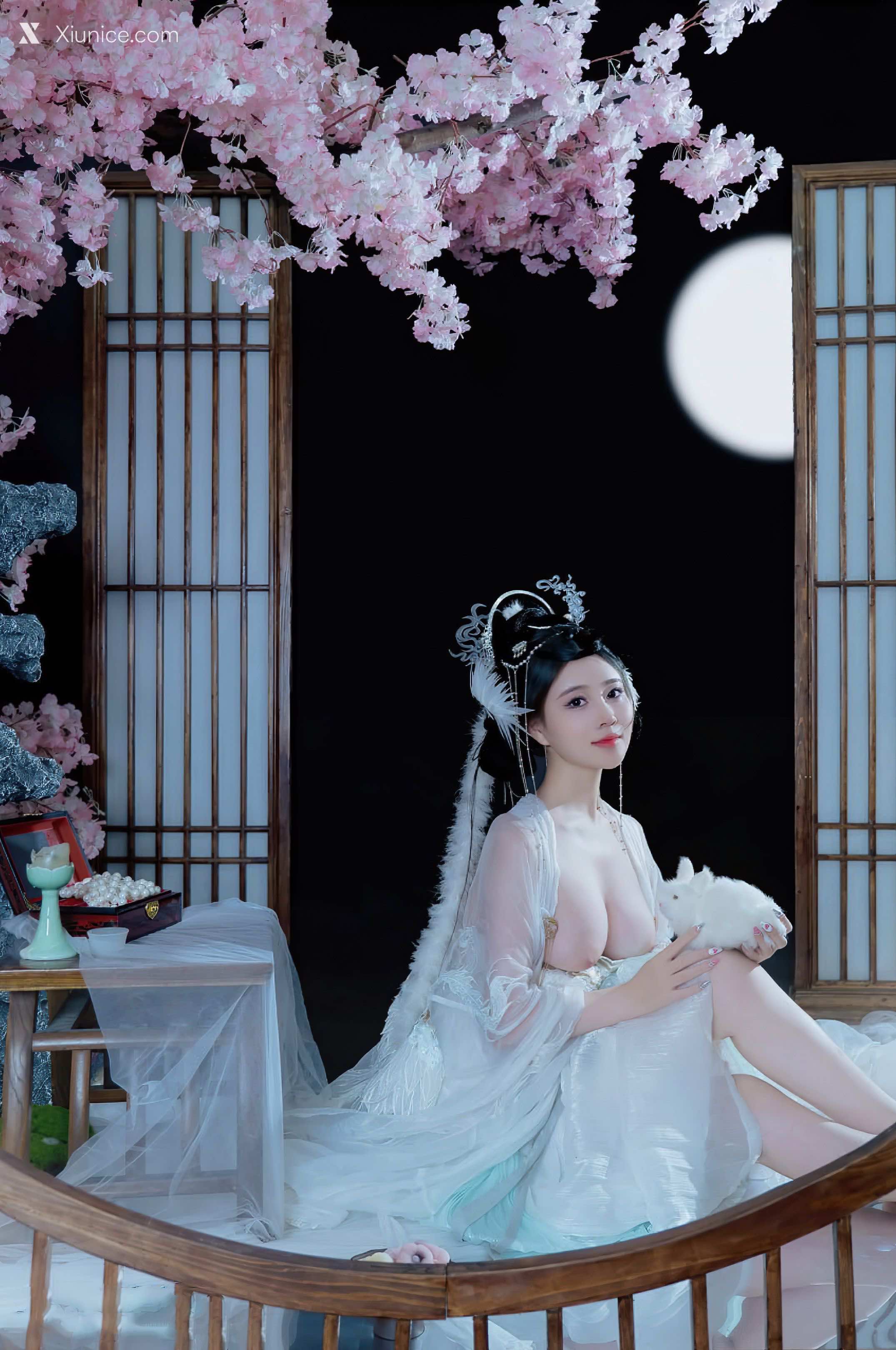 Coser 年年Nnian 嫦娥仙子 22