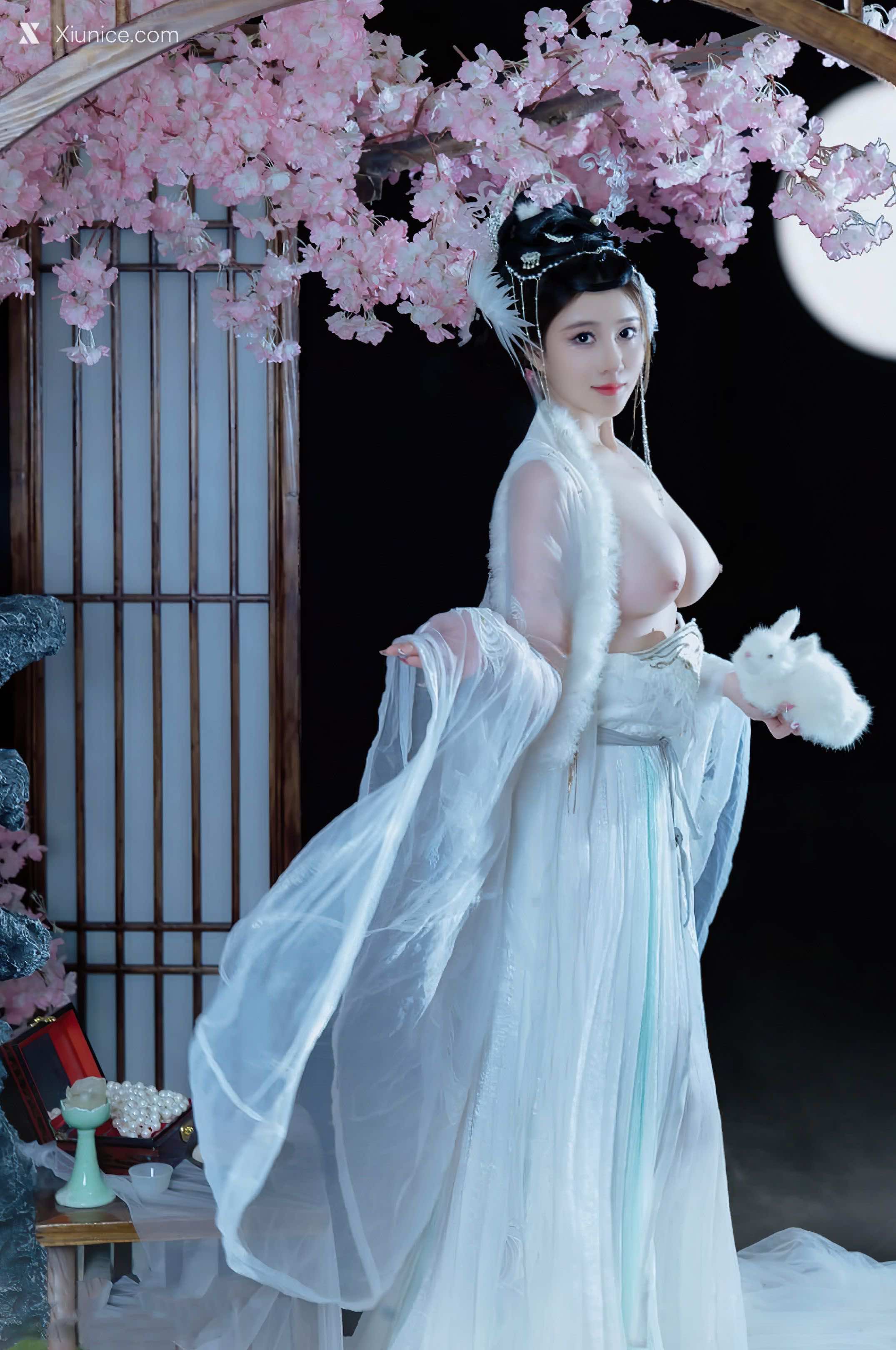 Coser 年年Nnian 嫦娥仙子 29