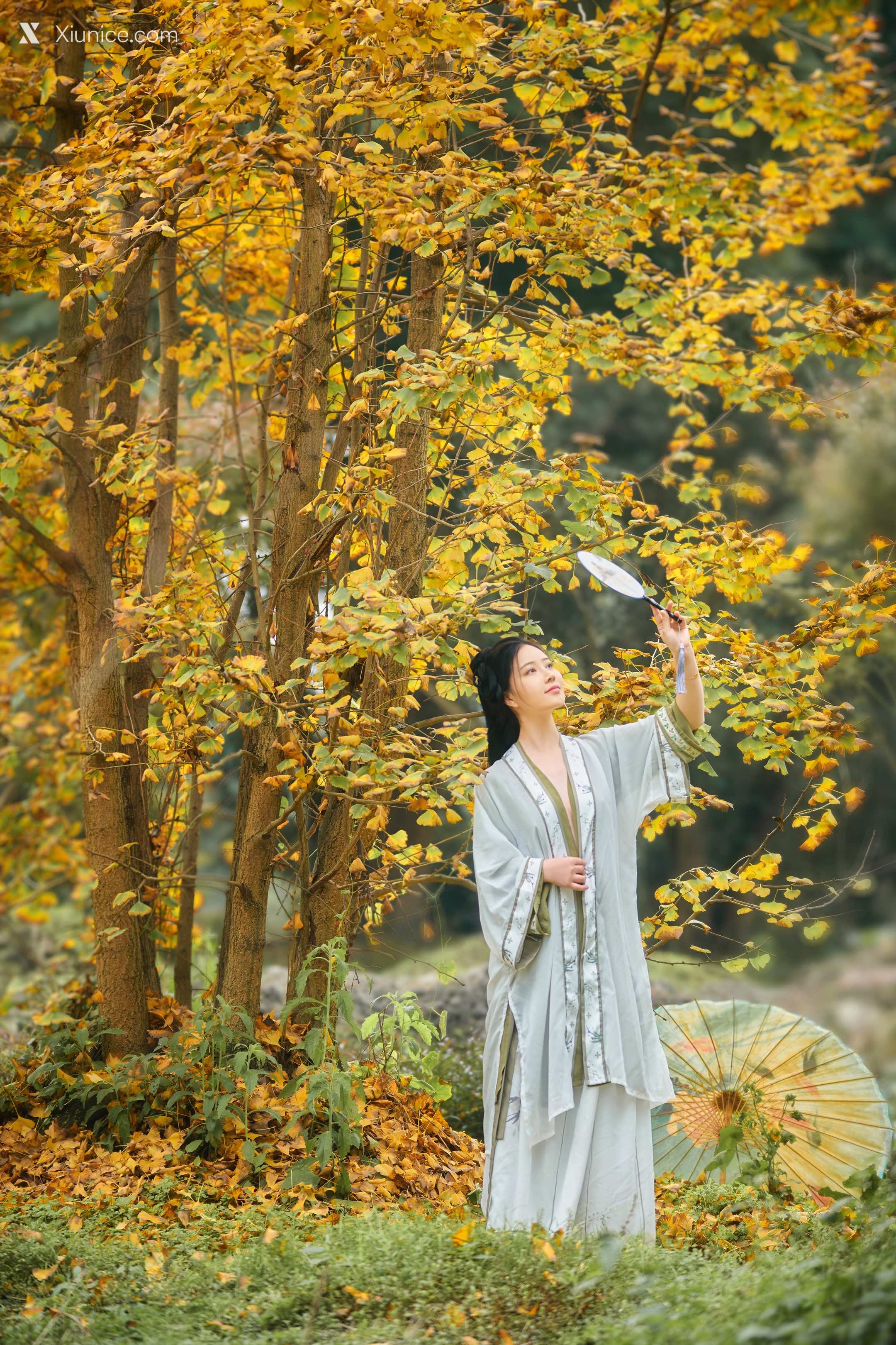 Coser 年年Nnian 秋兮 24
