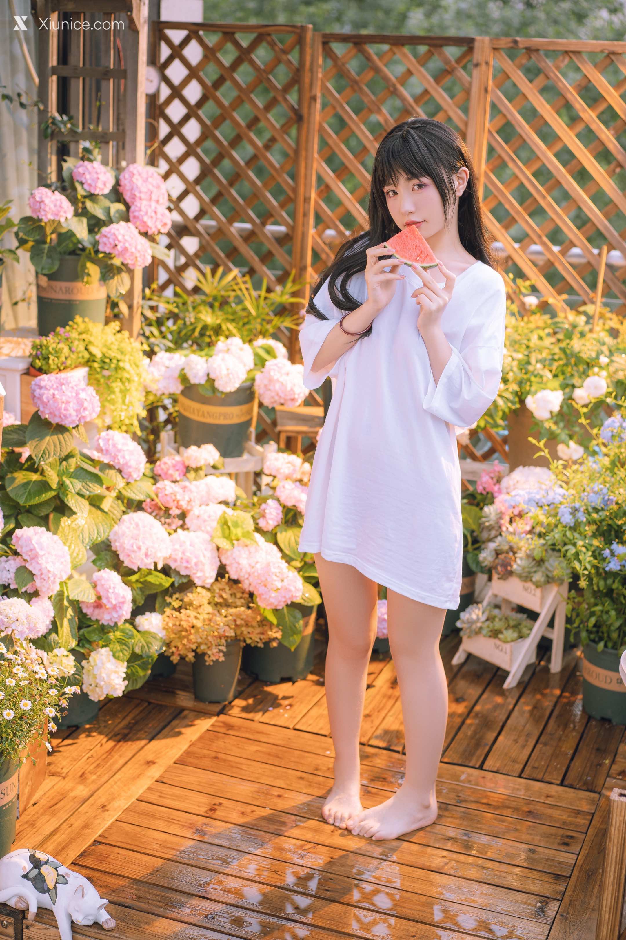 Nekokoyoshi Xiunice.com 小吉的午后时光 24