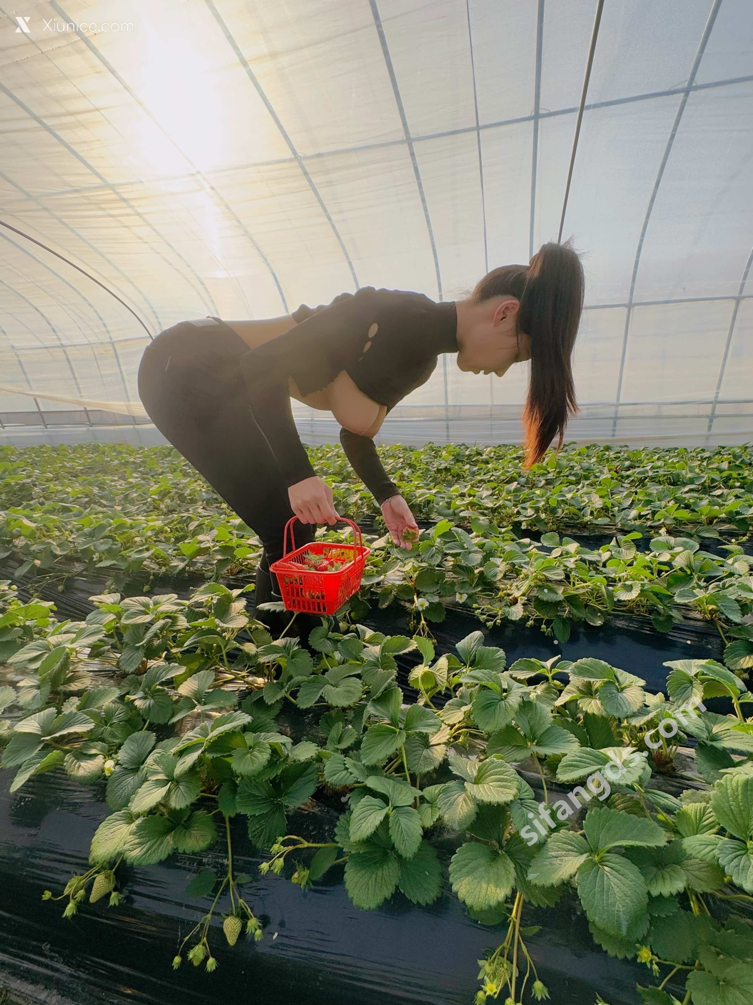 清妙 R18 秀人网模特 25年新作品 浴室&户外 93
