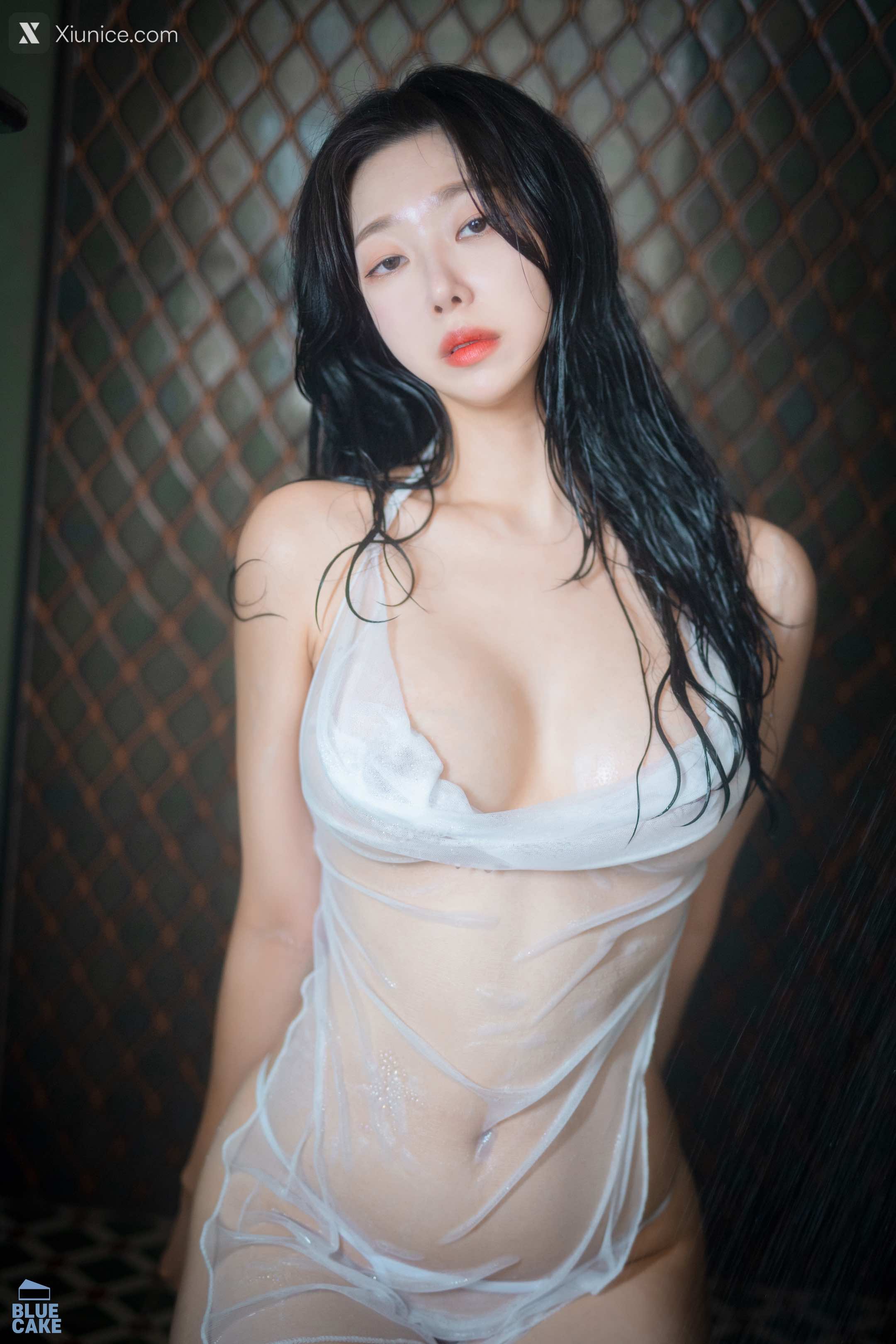 BLUECAKE Shaany Wet 205