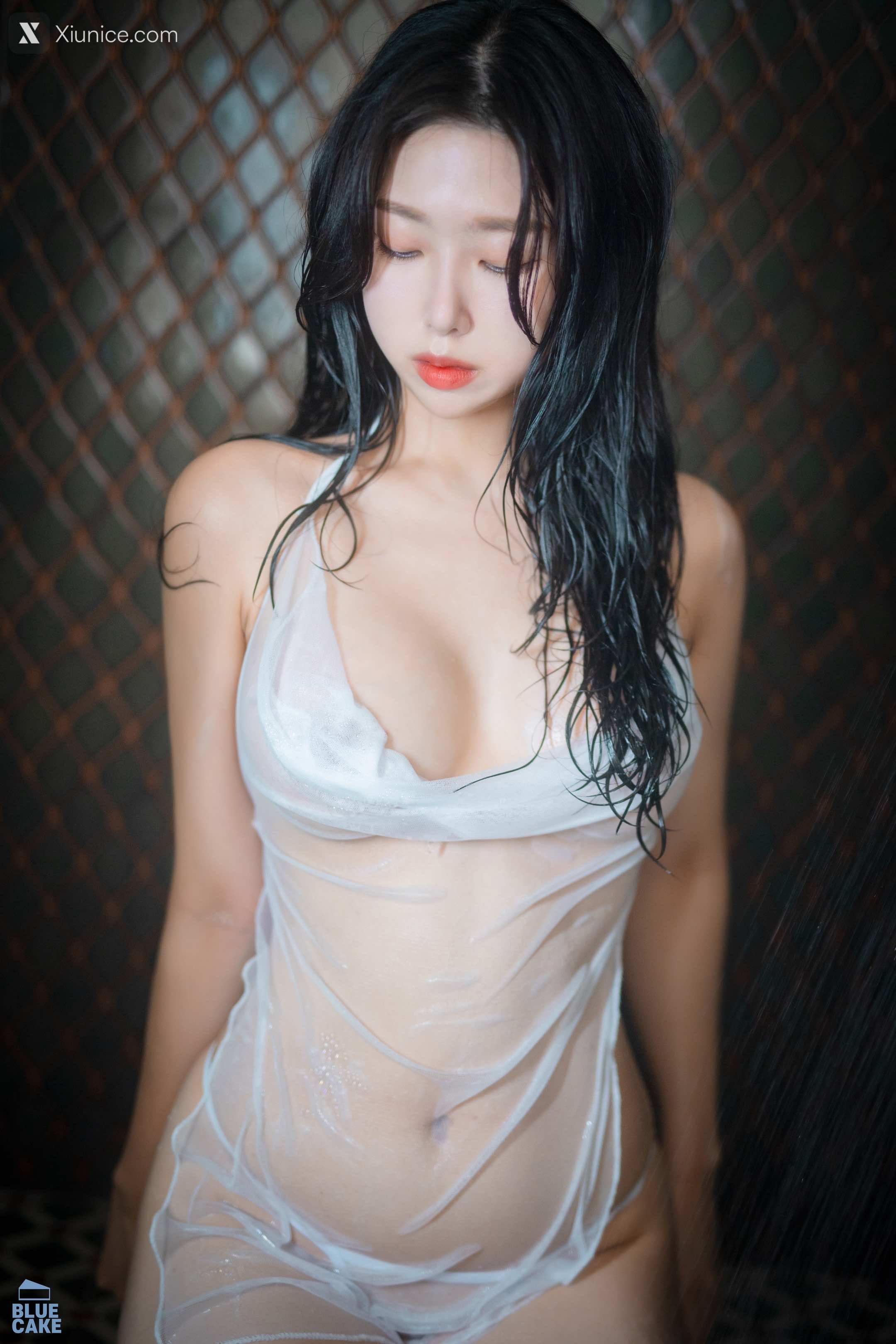 BLUECAKE Shaany Wet 206