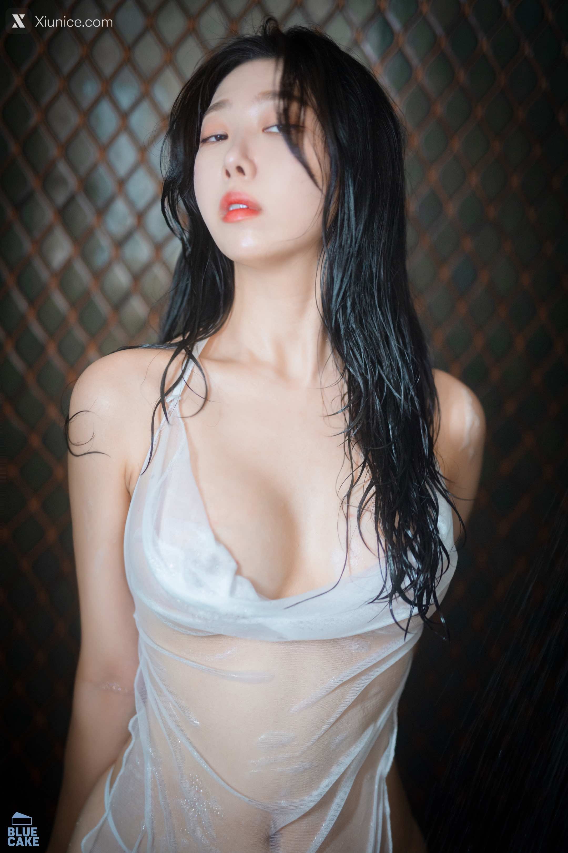 BLUECAKE Shaany Wet 207