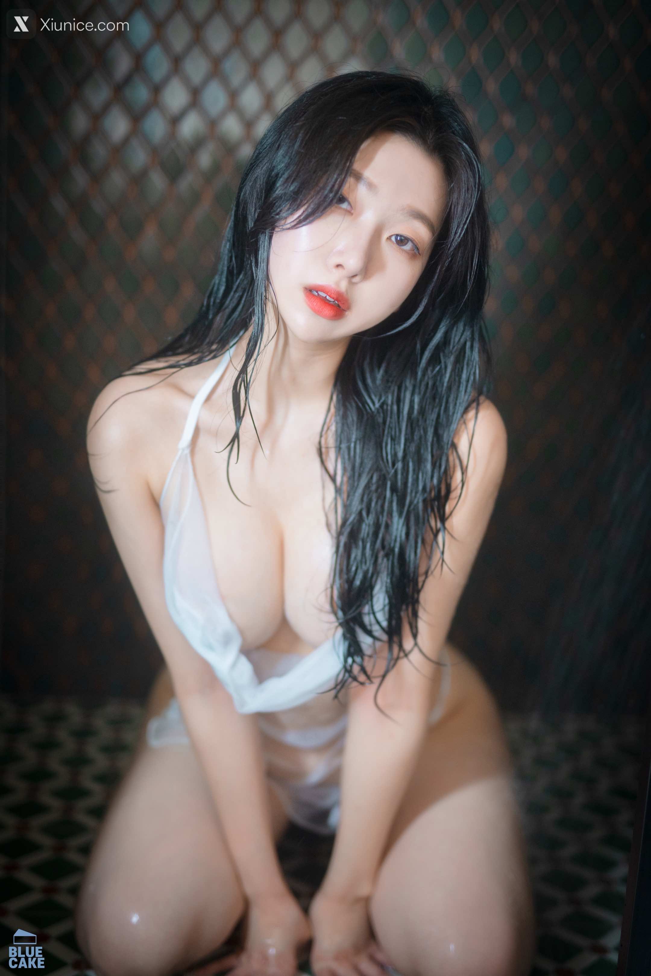 BLUECAKE Shaany Wet 212