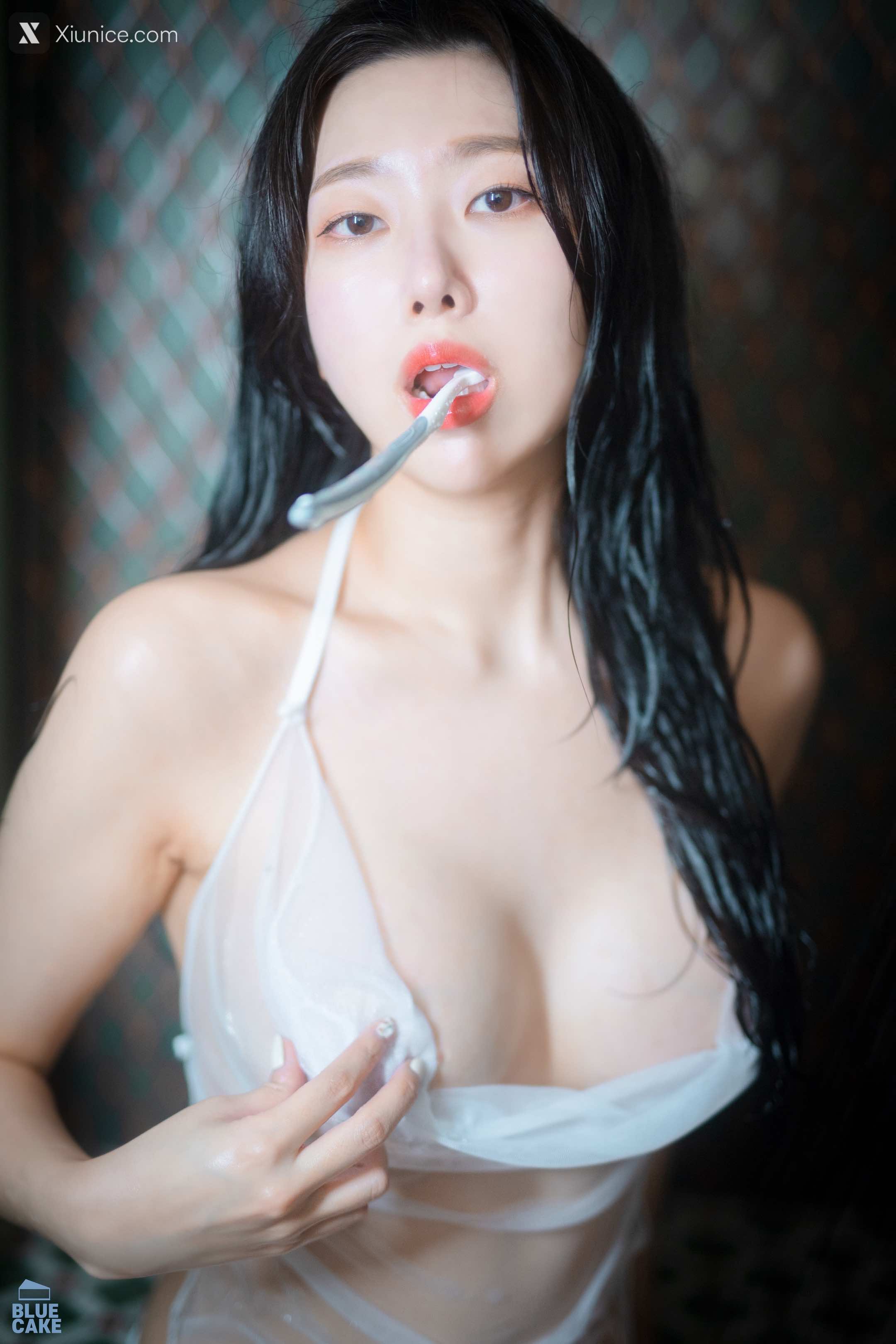 BLUECAKE Shaany Wet 219