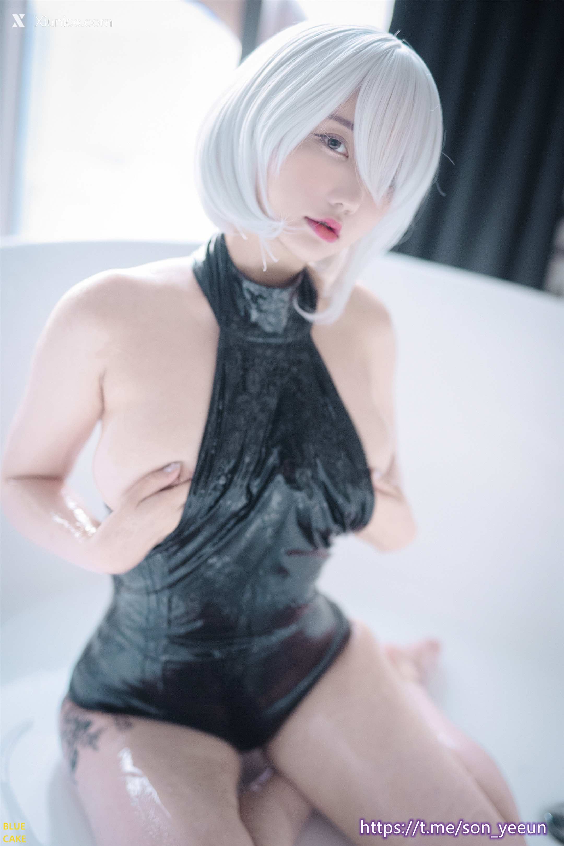 BLUECAKE Son Ye Eun (손예은) [NieR][YoRHa No.2] 2B 71