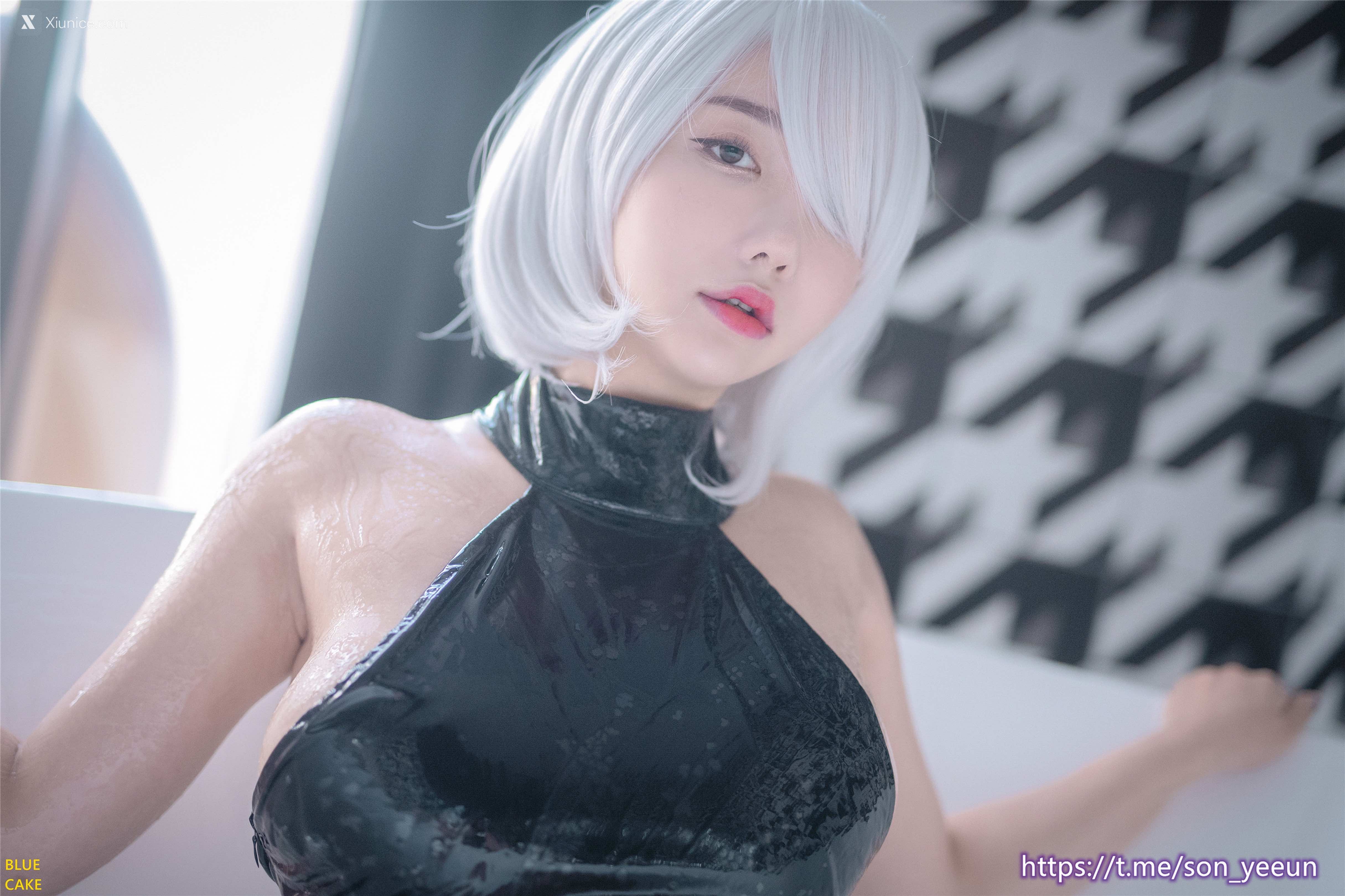 BLUECAKE Son Ye Eun (손예은) [NieR][YoRHa No.2] 2B 81
